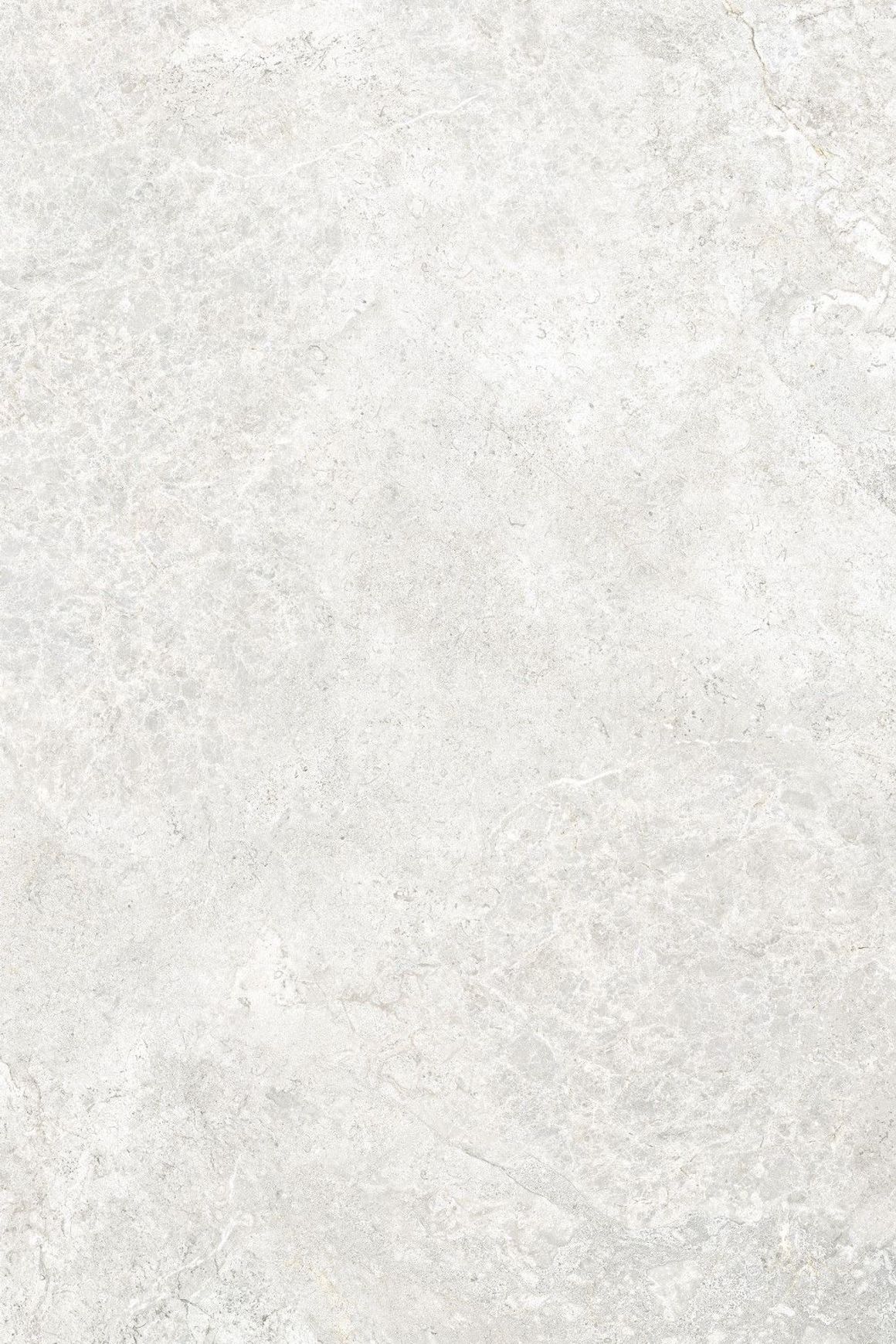 Arctic Tundra White Matt 60x120
