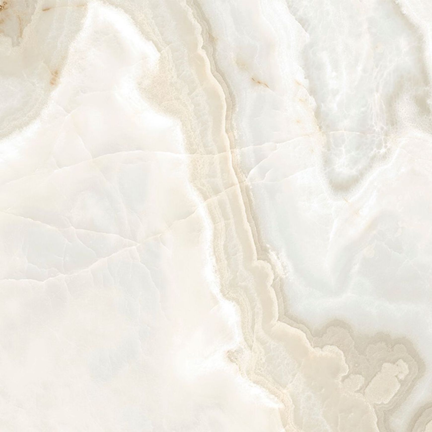 Reves de Rex Floor & Wall Tile
