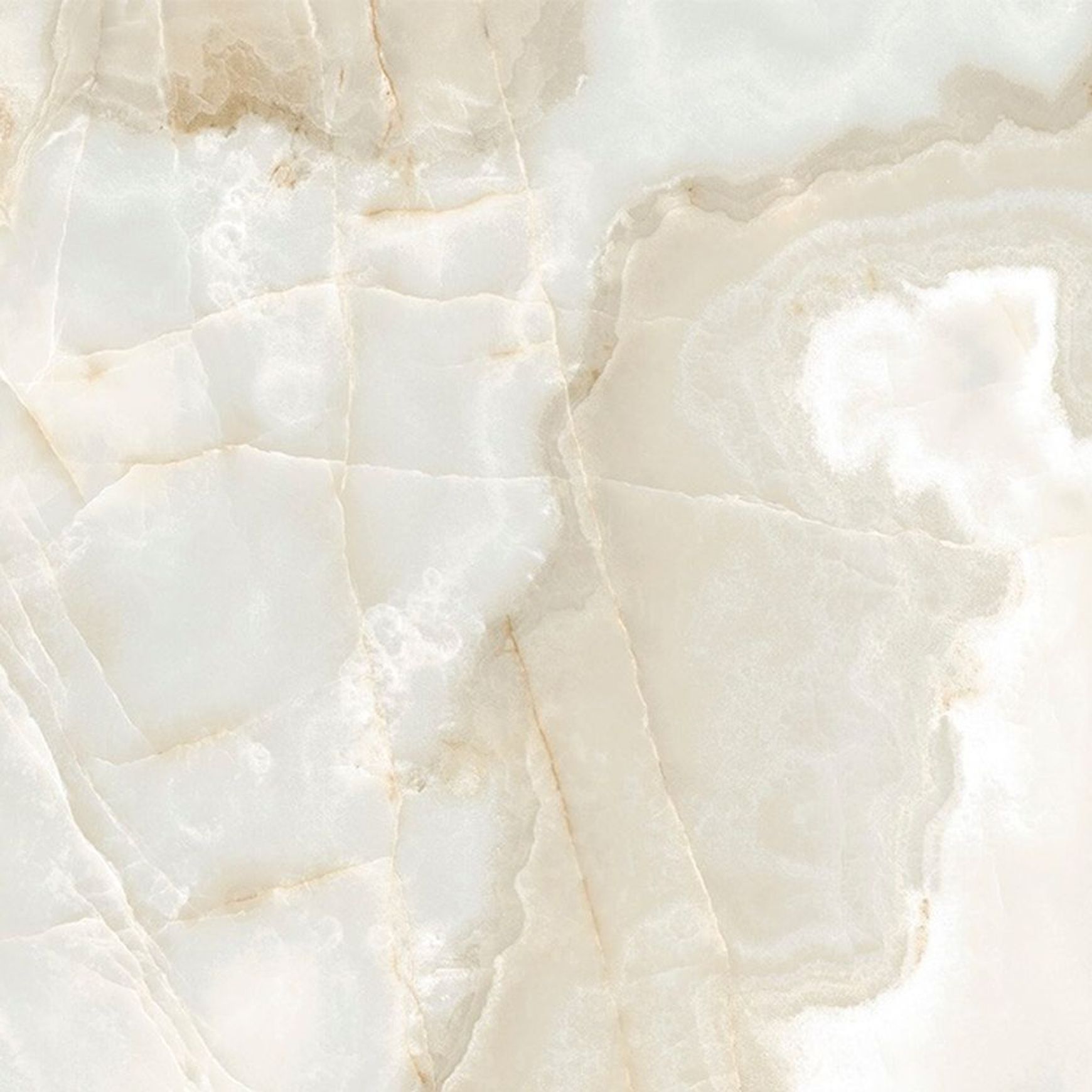 Reves de Rex Floor & Wall Tile