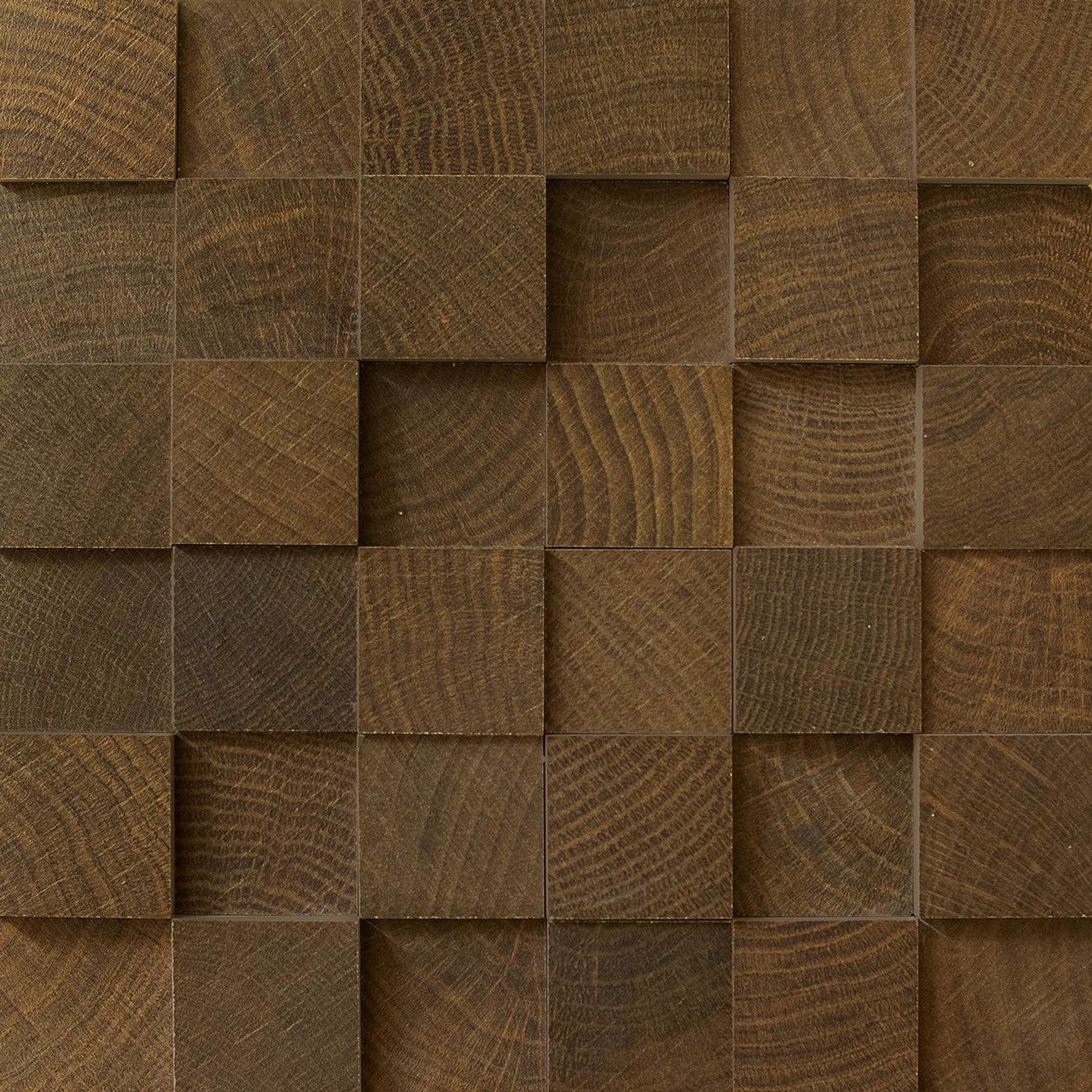 W-Circles Collection | Floor & Wall Tile