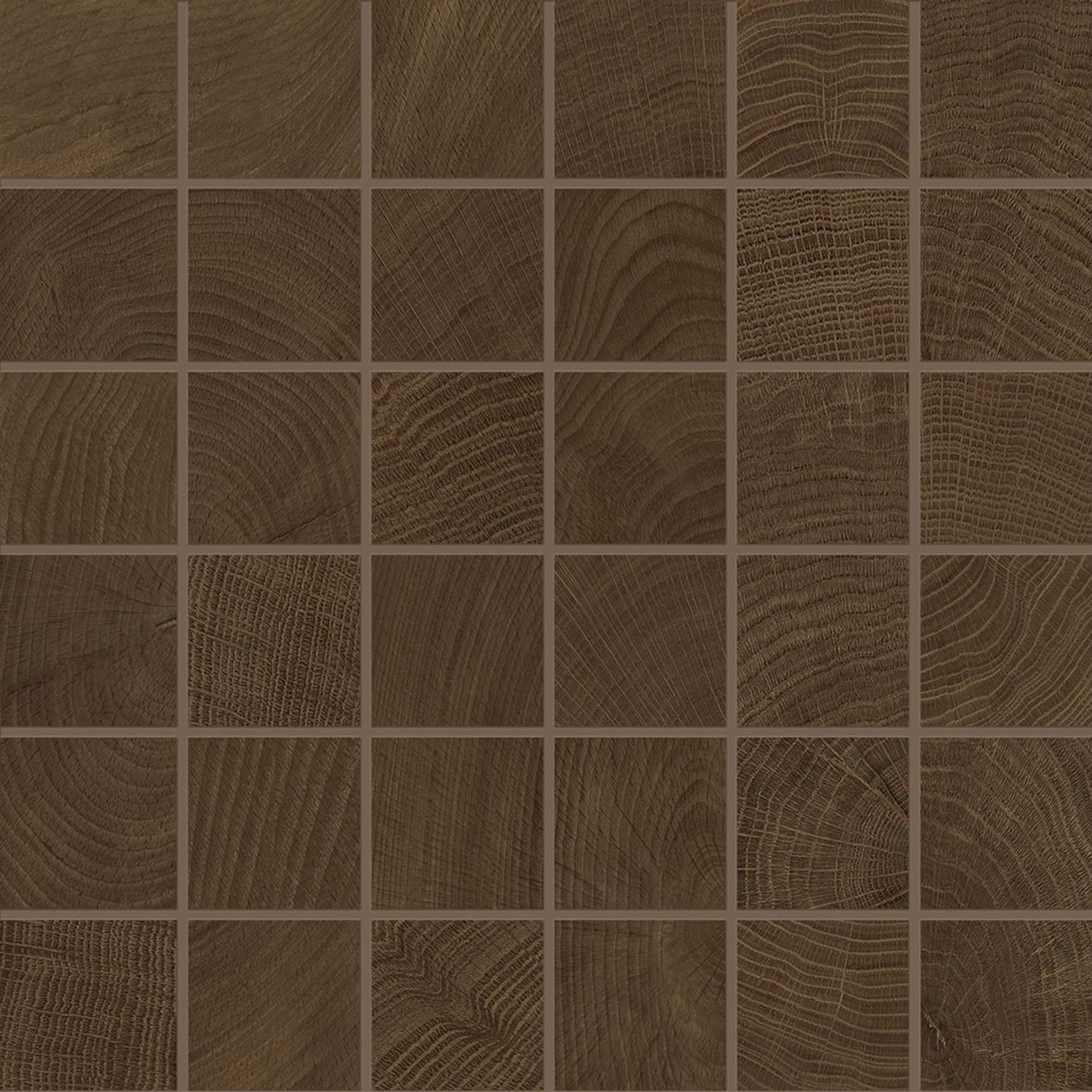 W-Circles Collection | Floor & Wall Tile