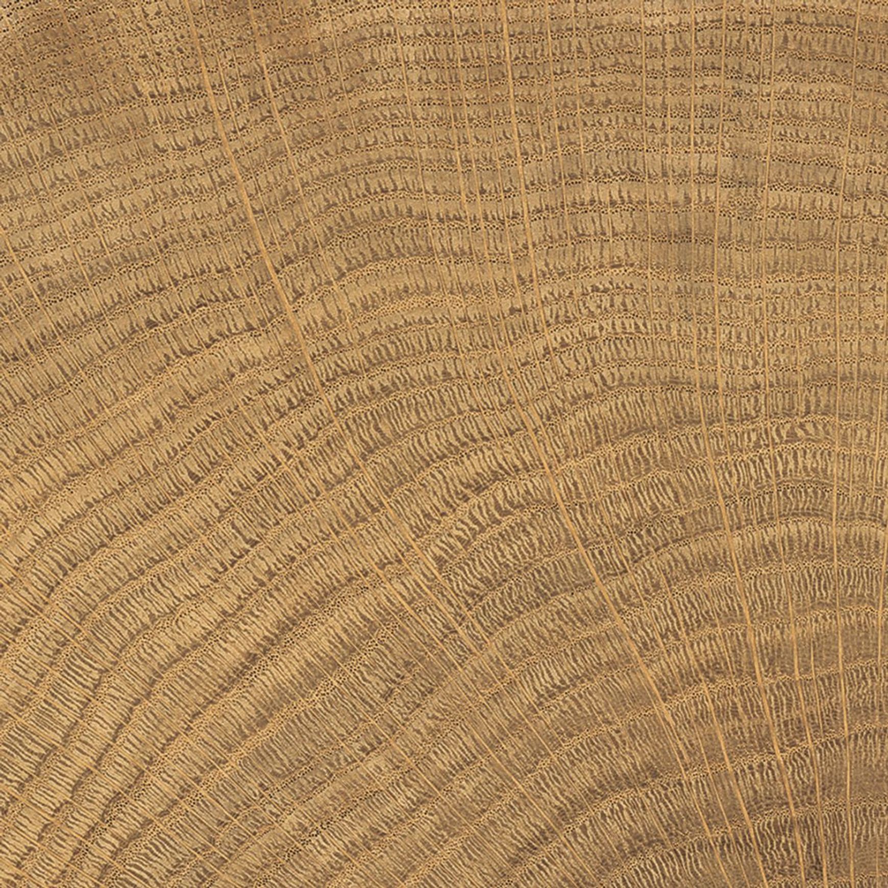 W-Circles Collection | Floor & Wall Tile