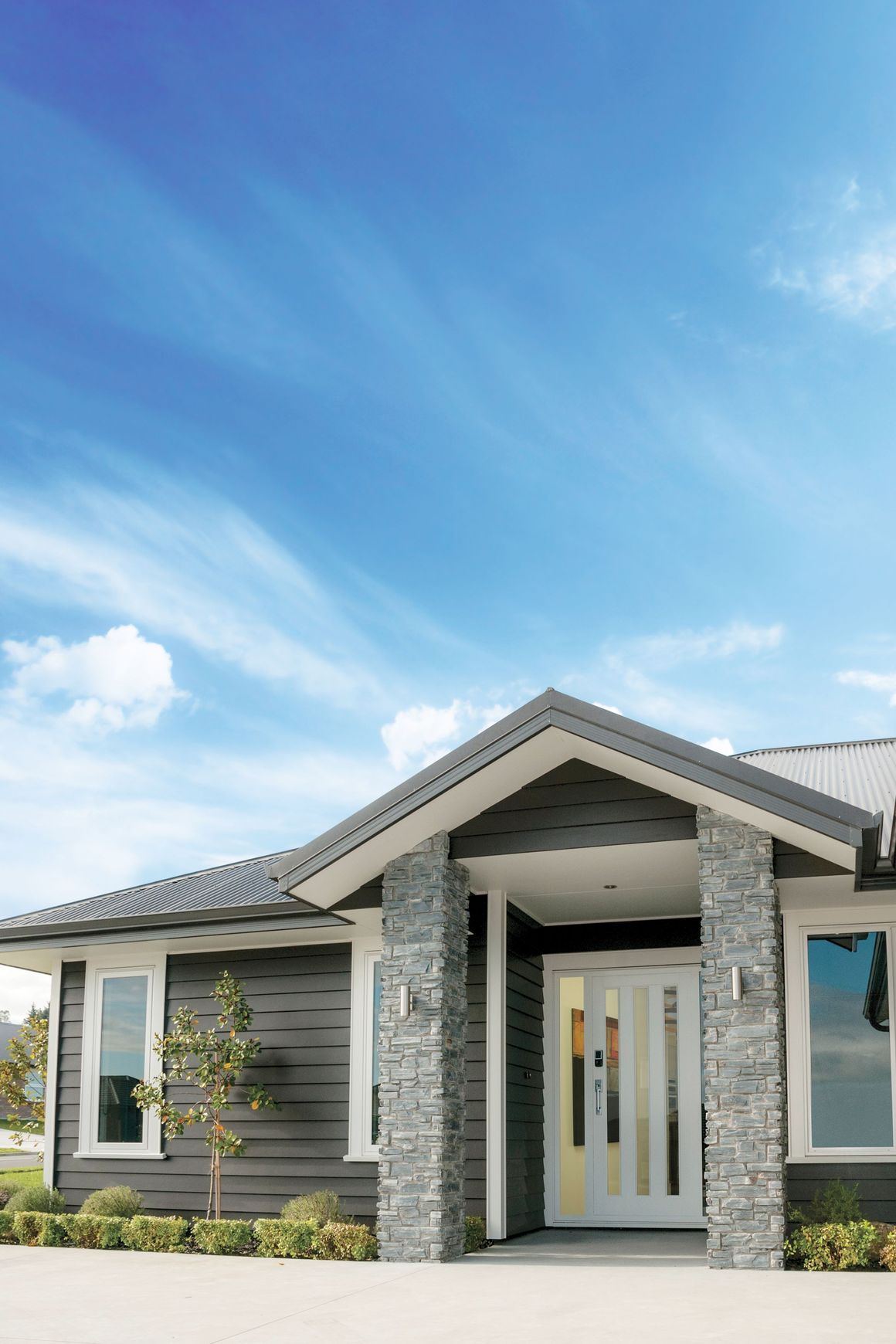 3L Aluminium Modern Entrance Doors