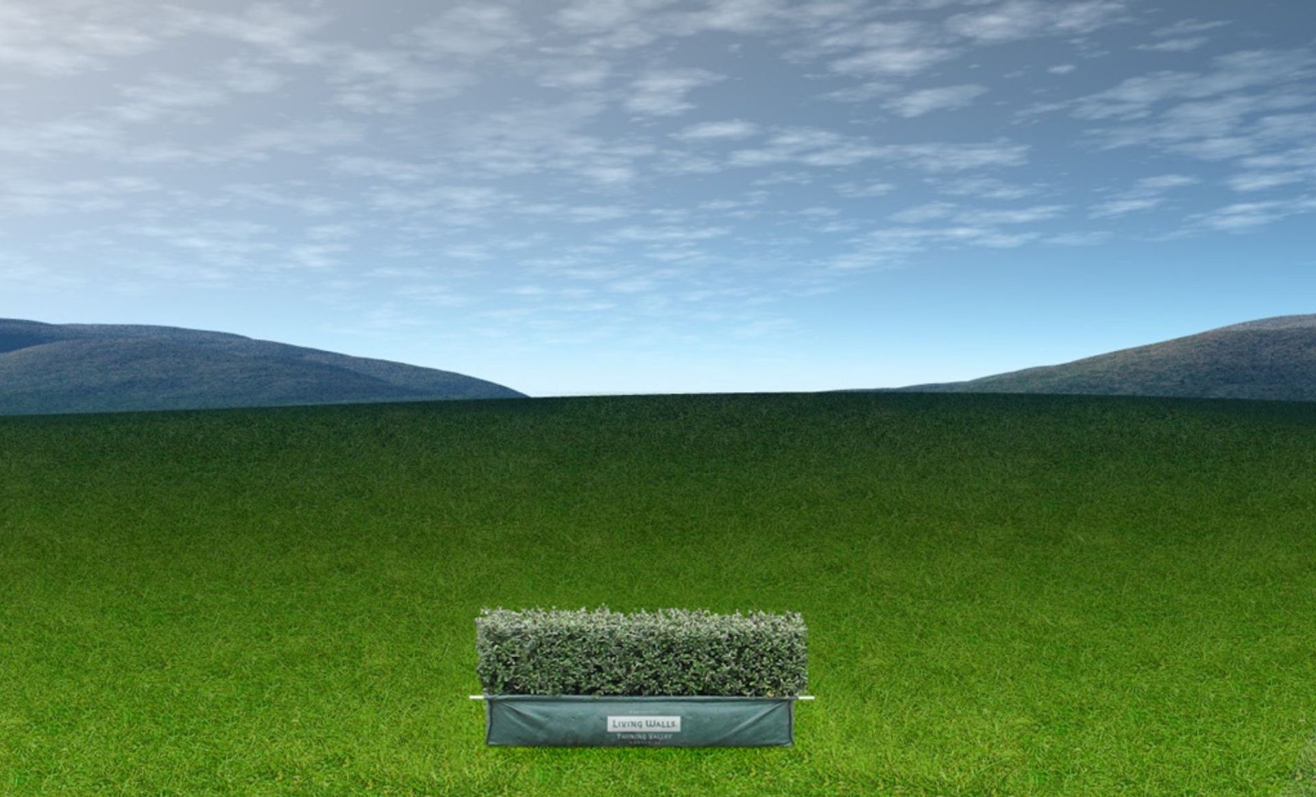 Living Edge™ – low-growing instant hedge range