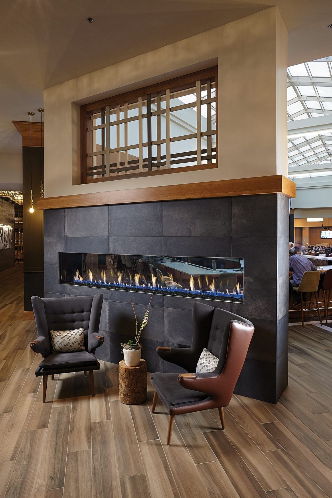 Davinci See Thru Gas Fireplace