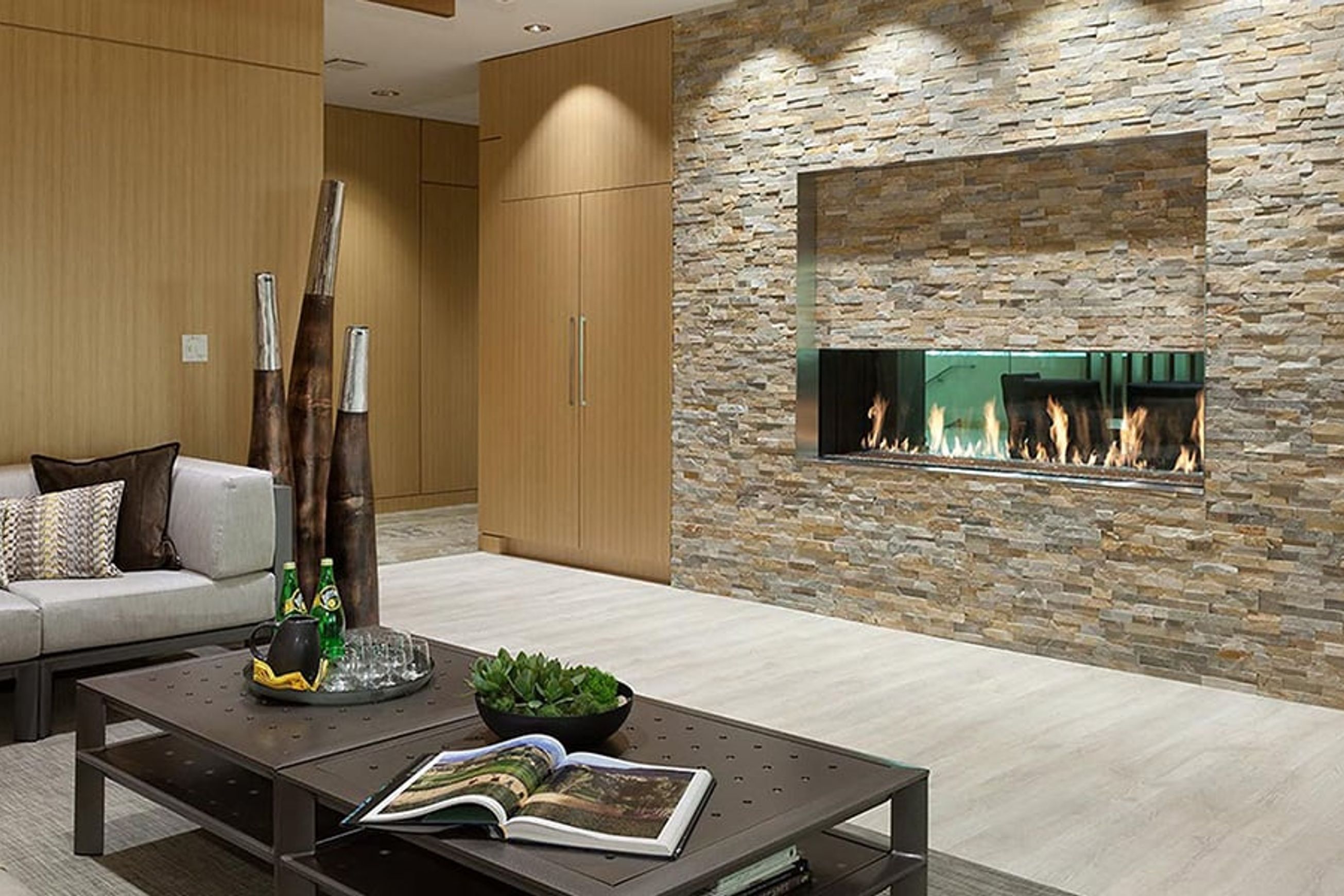 Davinci See Thru Gas Fireplace