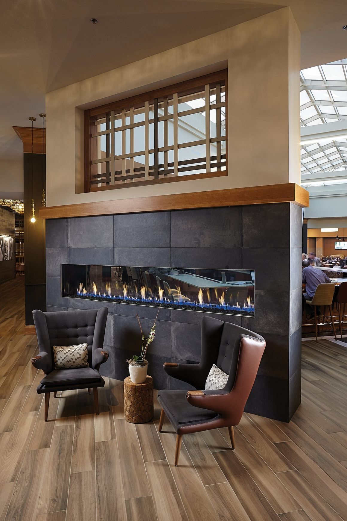 Davinci See Thru Gas Fireplace