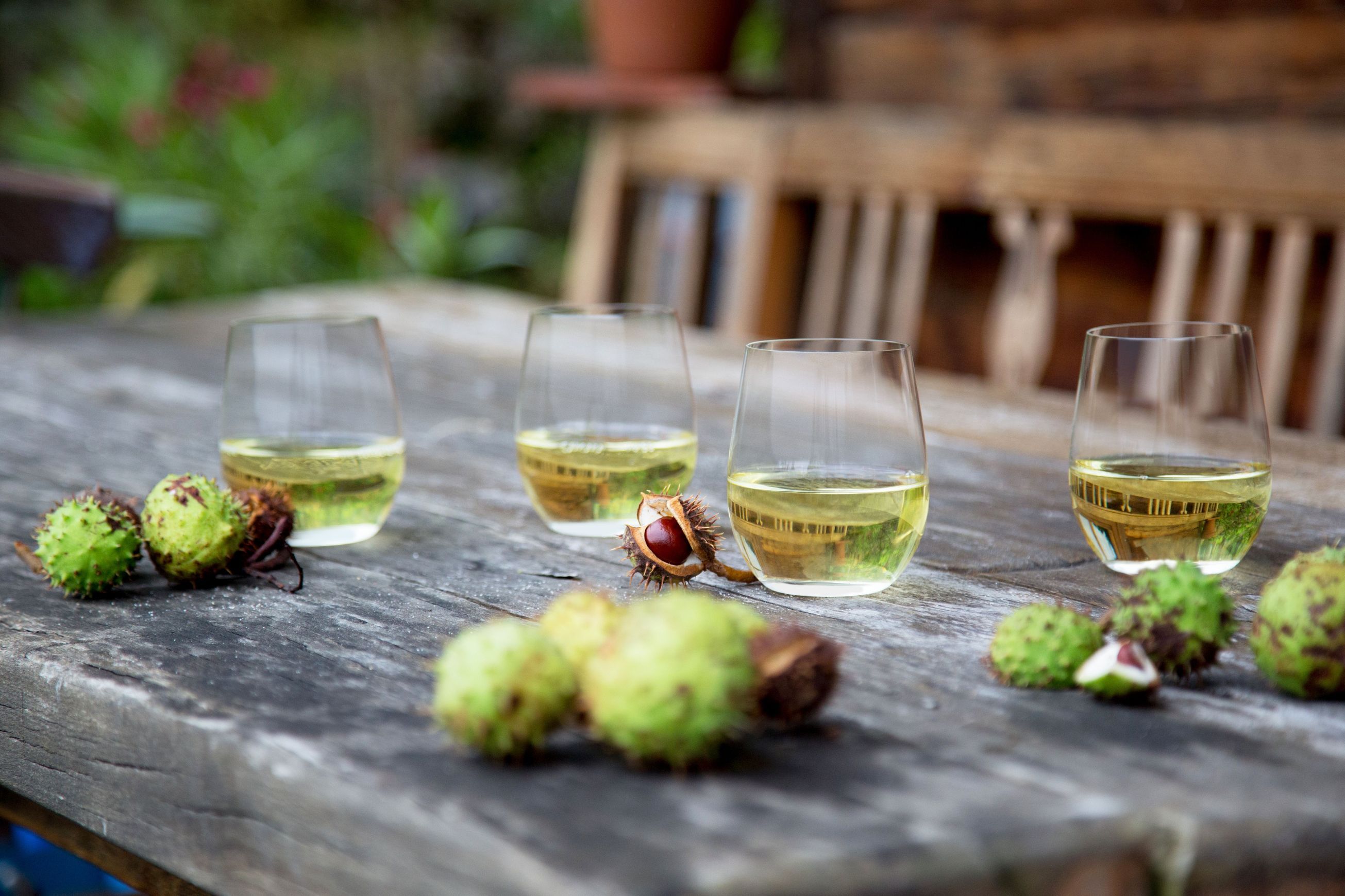 Riedel O Stemless Glasses