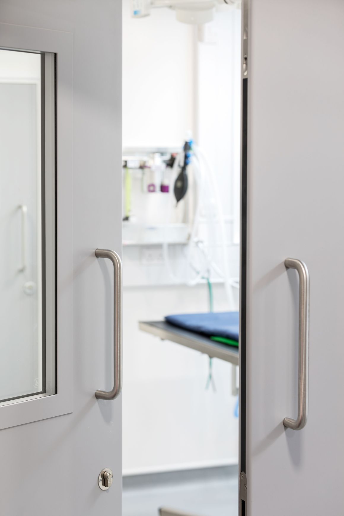 Altro Whiterock Hygienic Doorsets™