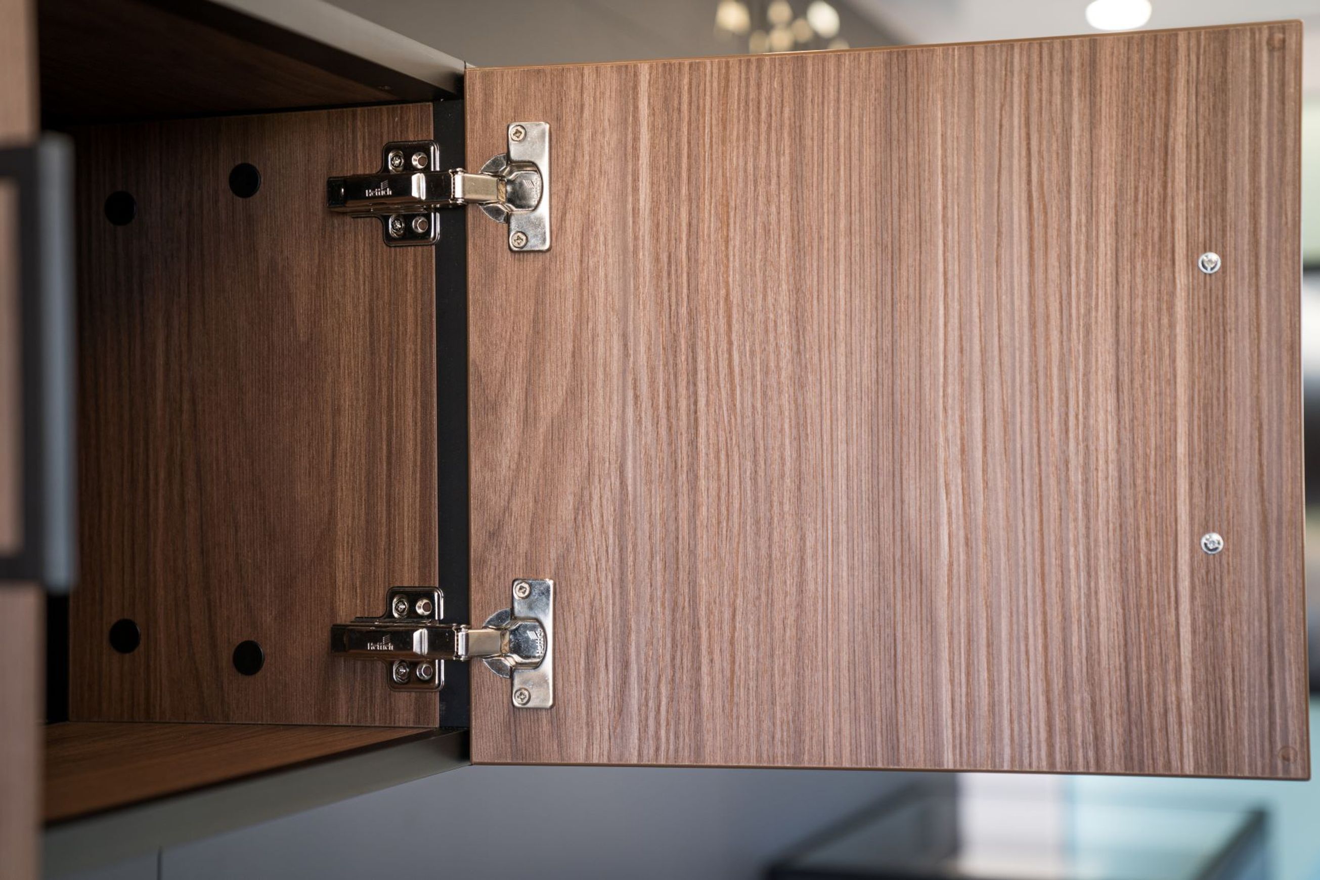 Veosys | Stainless Steel Hinge