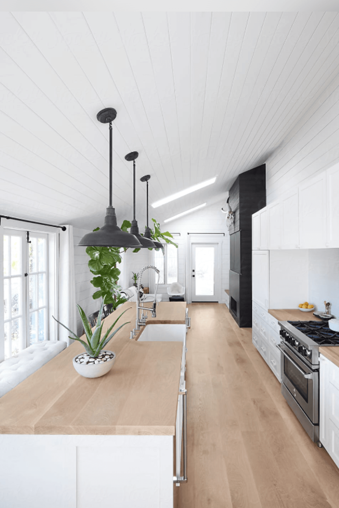 Ceiling Paint | Matt 