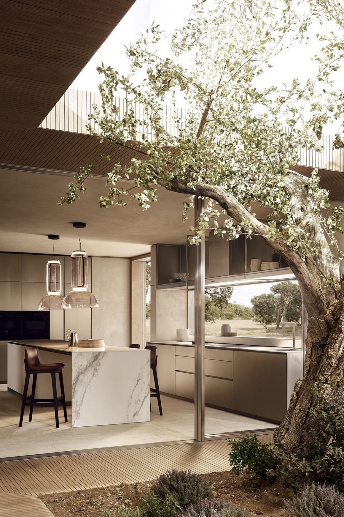 Alea Pro Kitchen