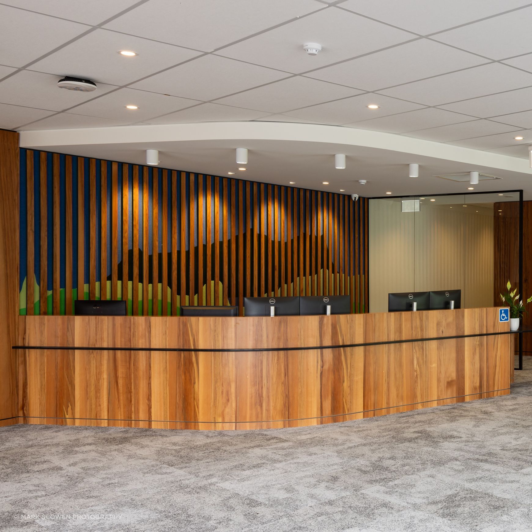 Prime Toitū Veneer Interior Panels