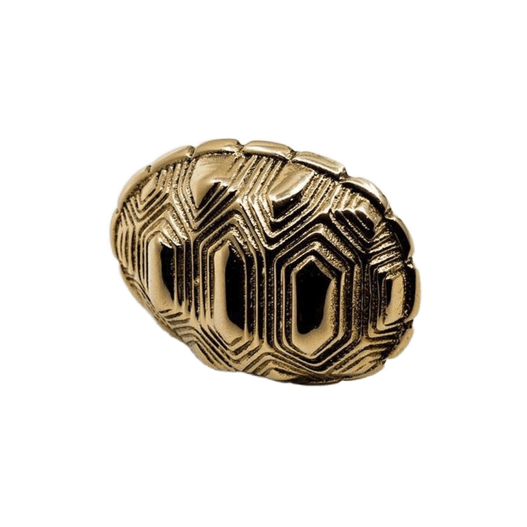 TORTOISE - TS