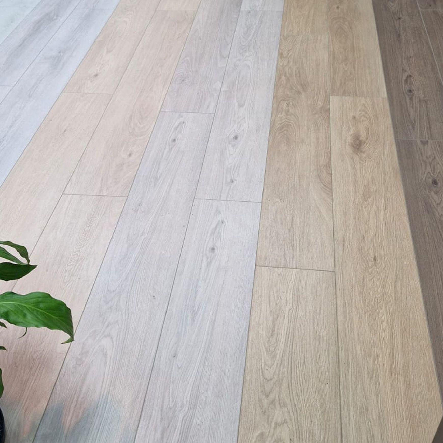 Classic Oak Water Resistant Laminate