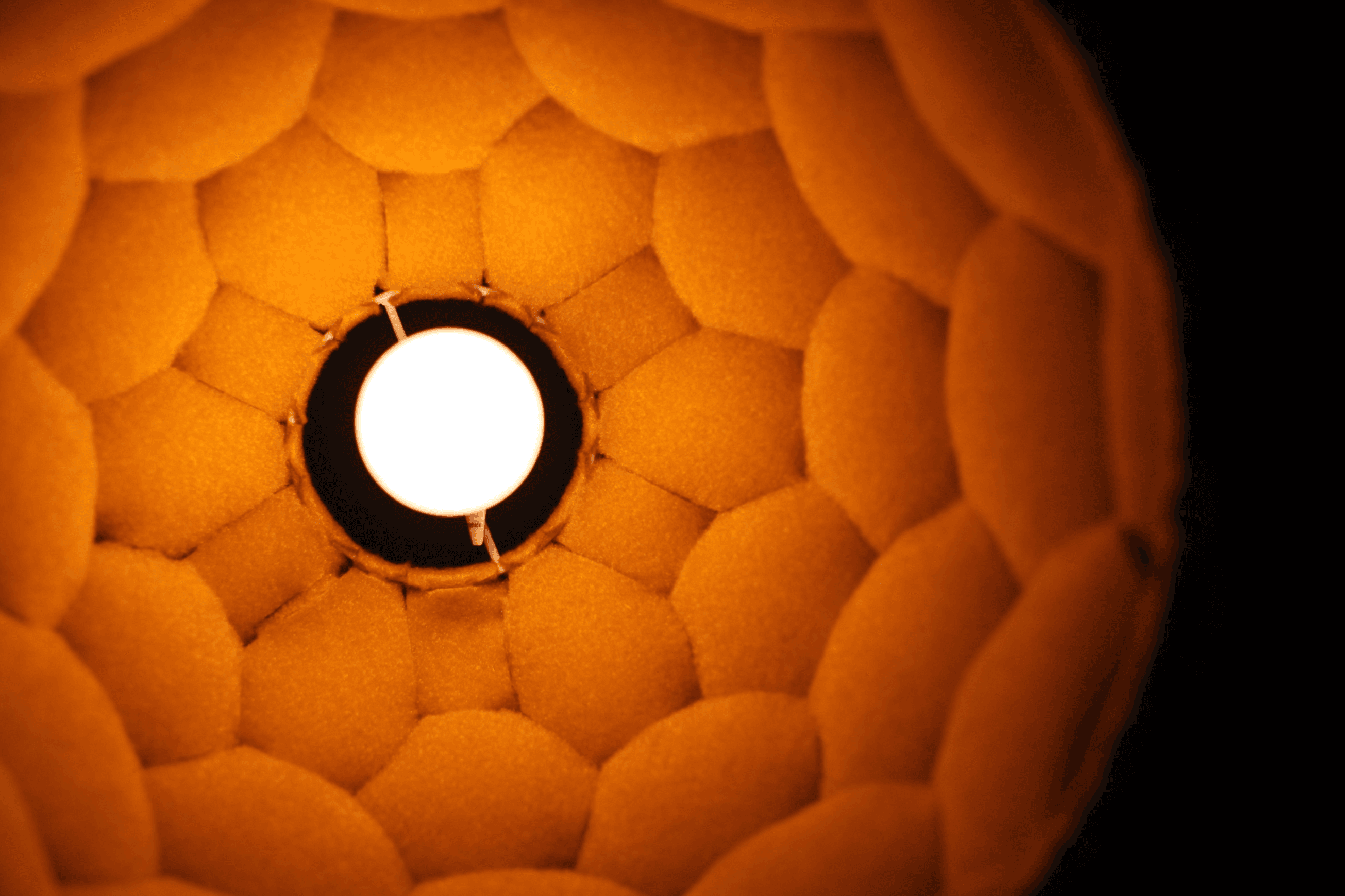 Nectar Lights