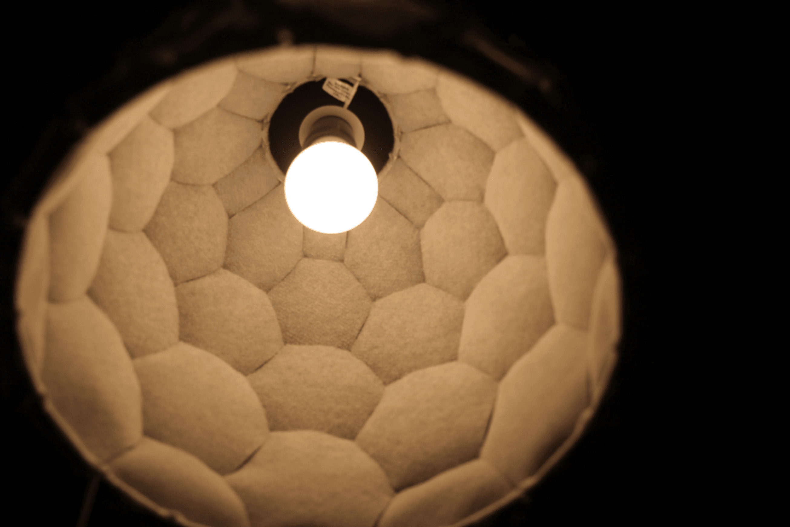 Nectar Lights