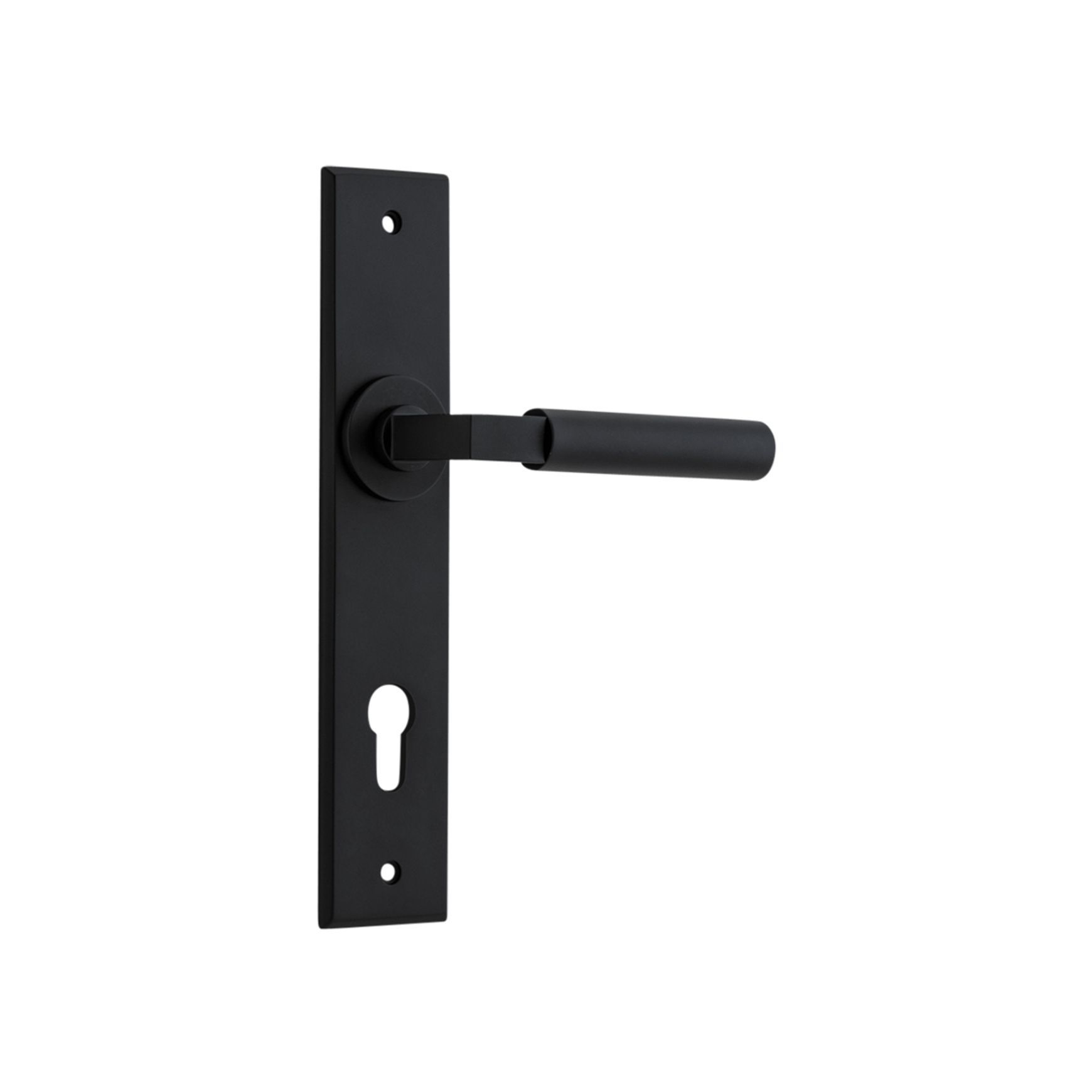Iver Berlin Door Lever on Chamfered Backplate