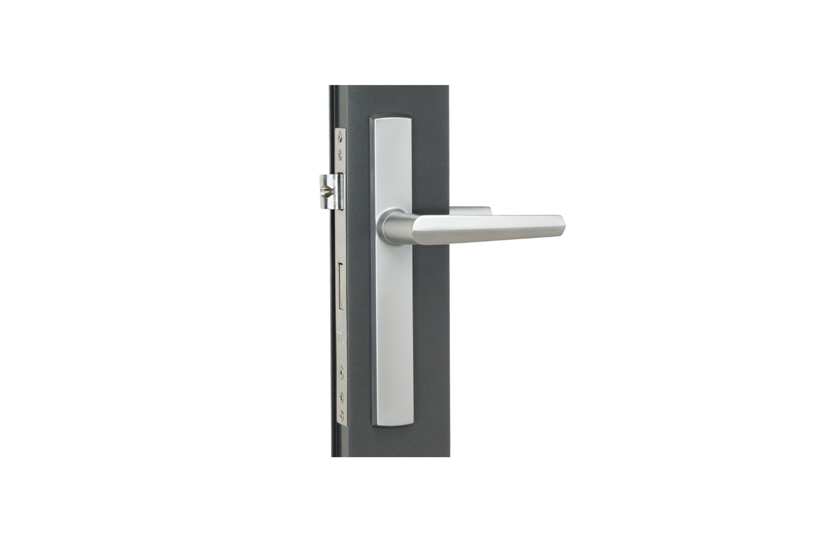 Aria Hinged Door Handle