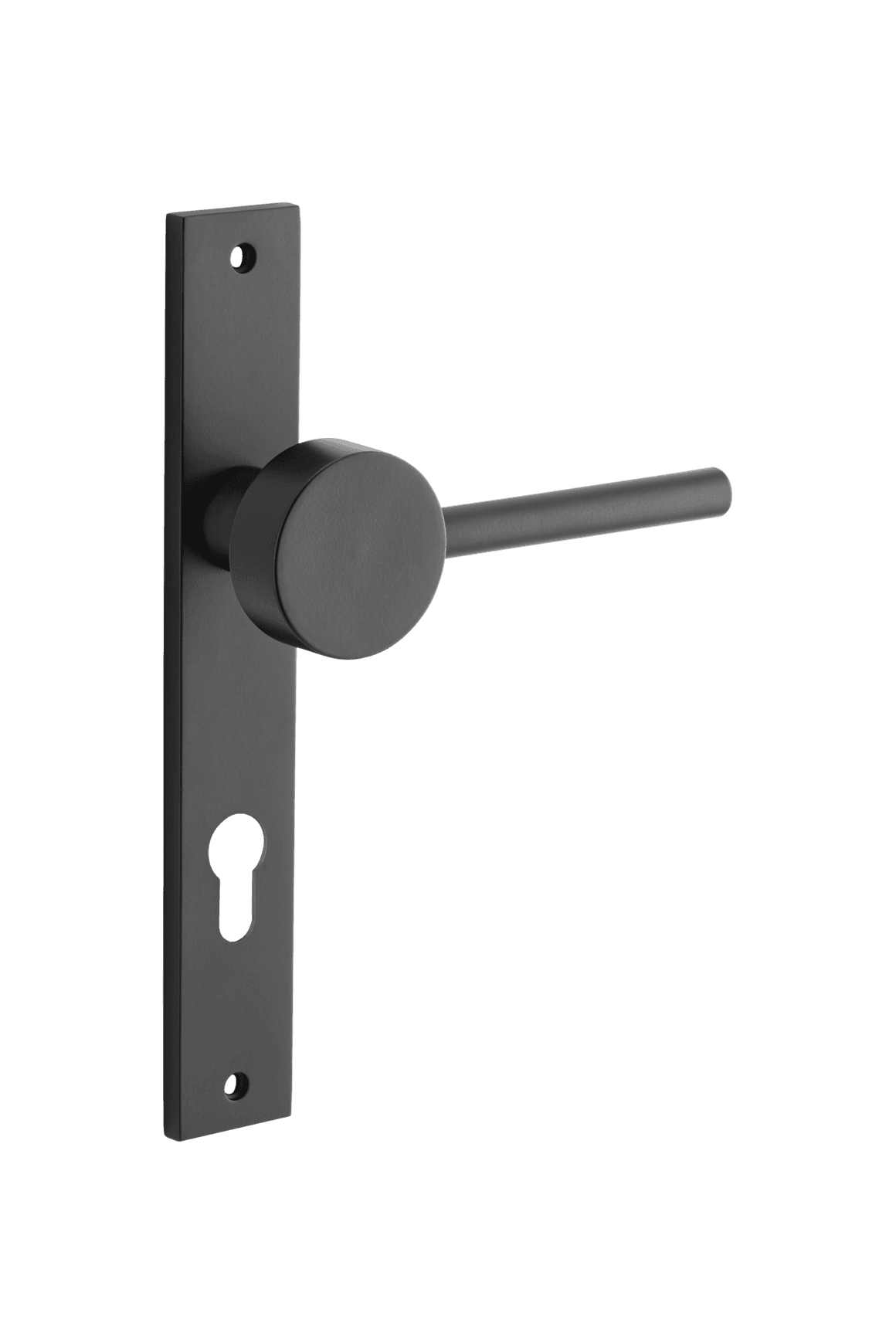 Geppetto Door Lever - Rectangular Backplate