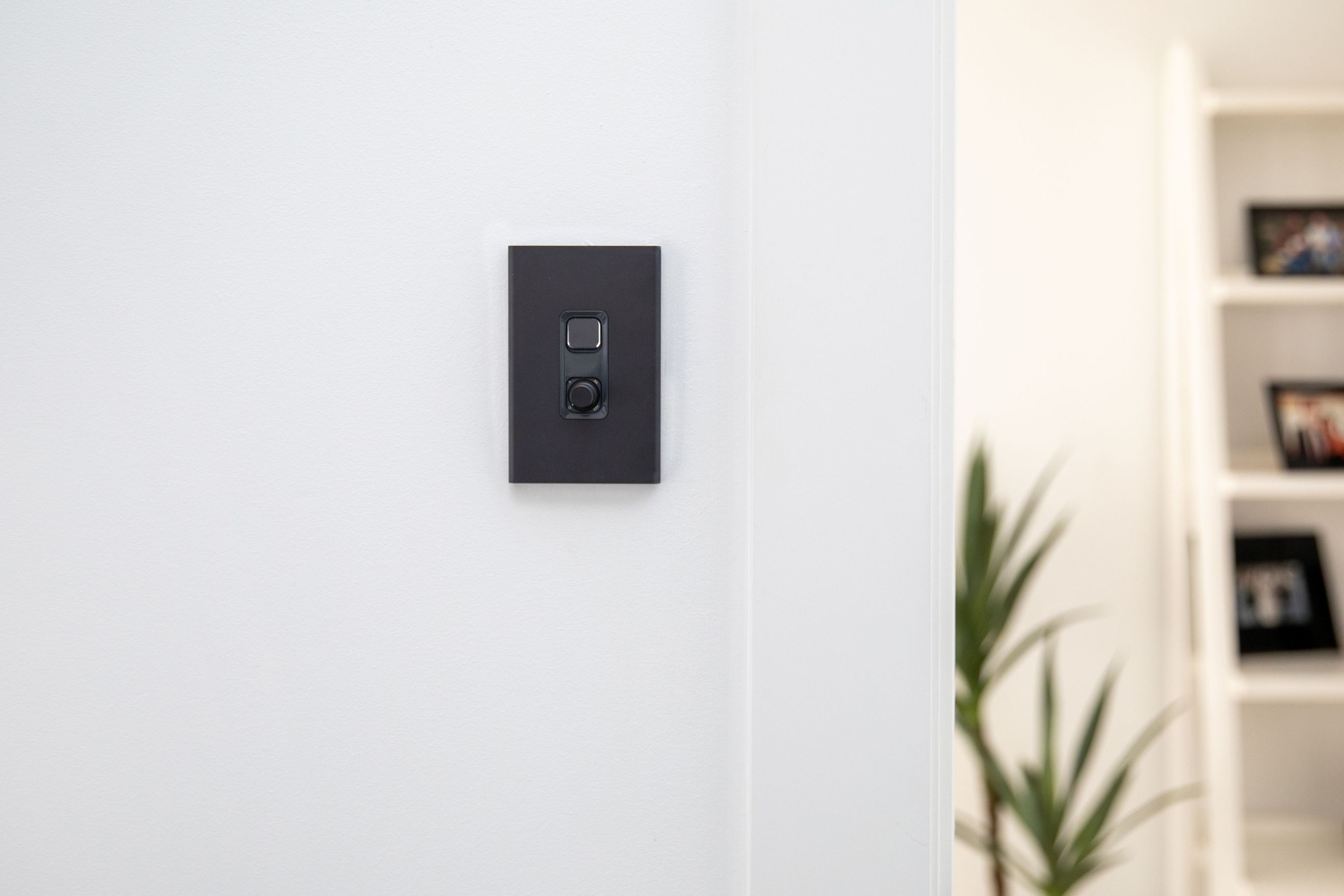 Light Switches & Dimmers