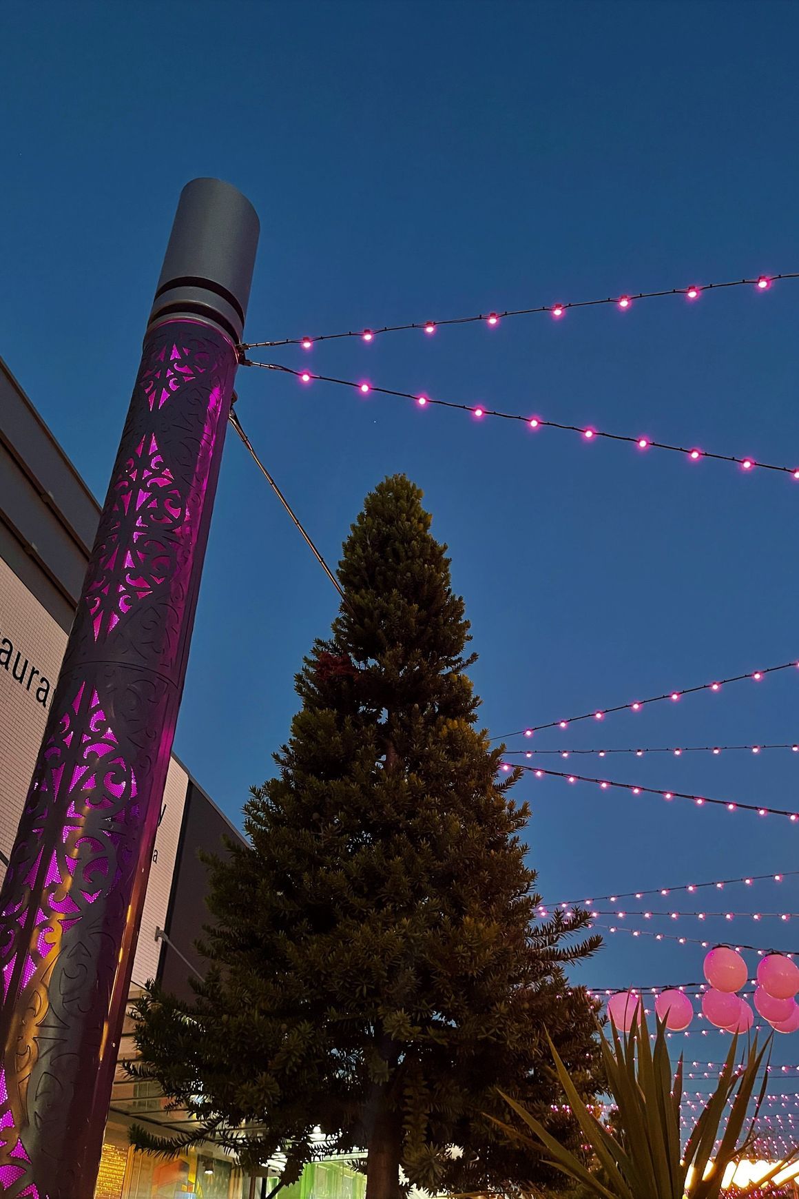 Catenary Lighting