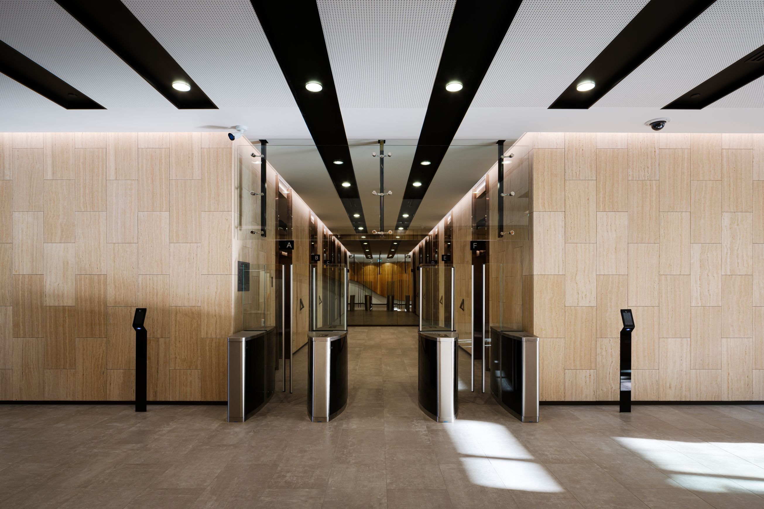 Downhill Dan 10 Linear LED Light