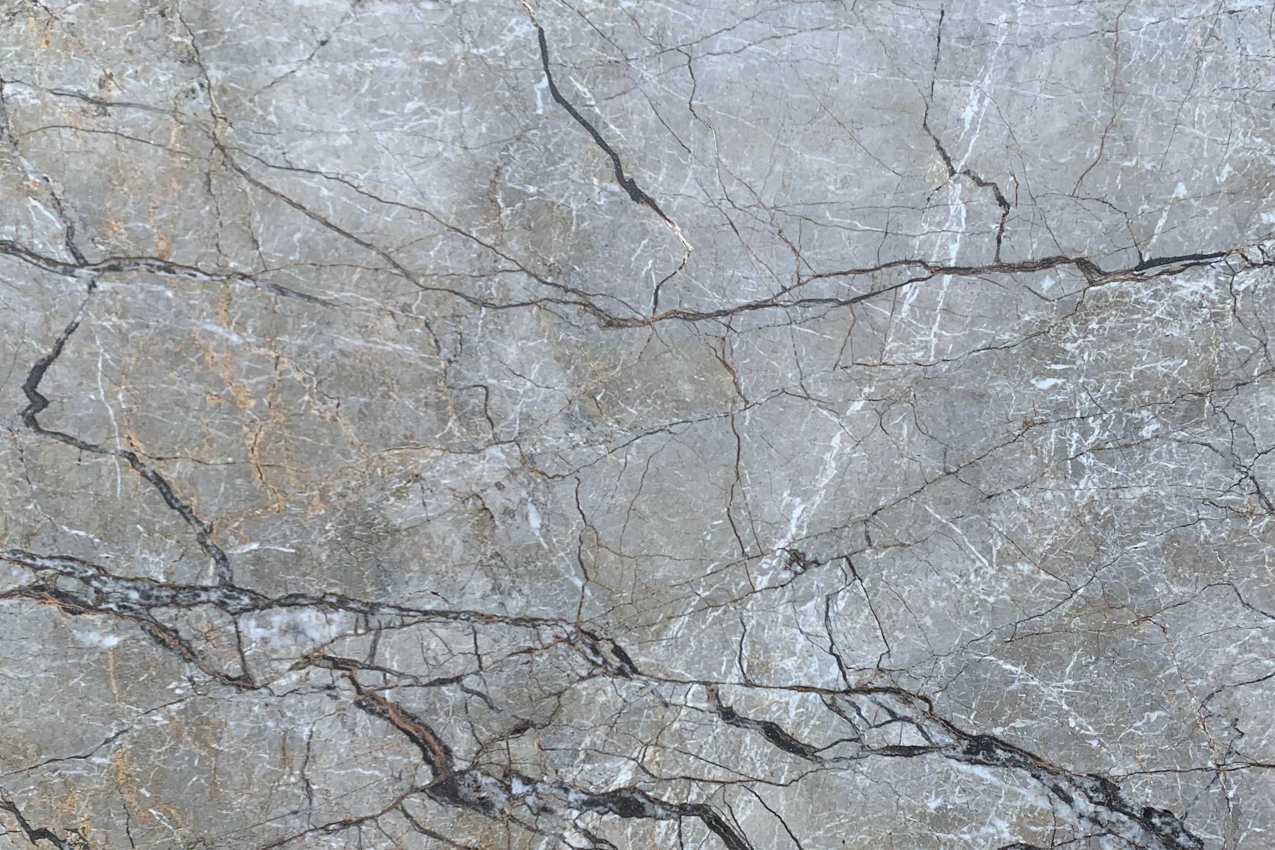 Silver Roots | Marble