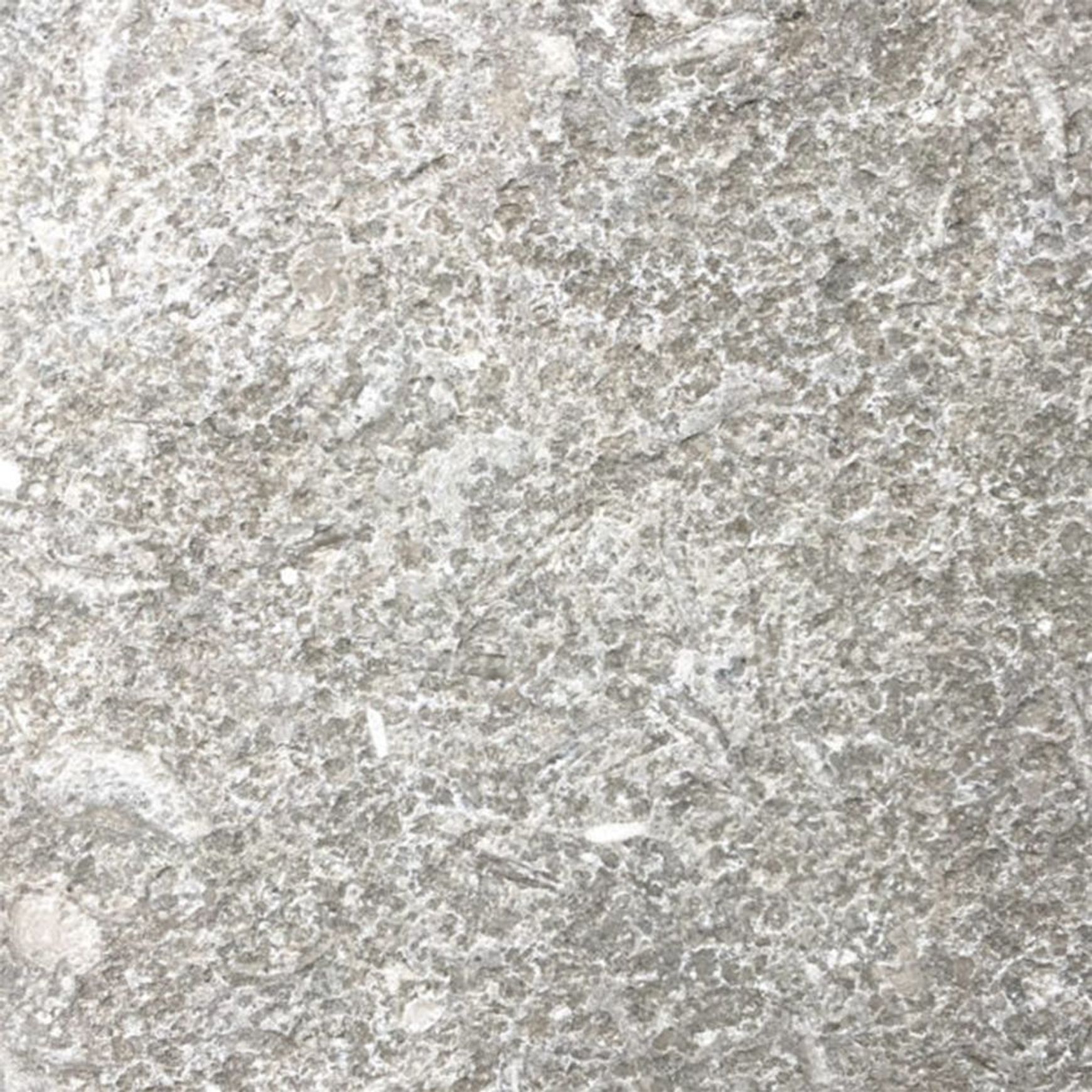 Seagrass Marble Coping Flamed & Tumbled