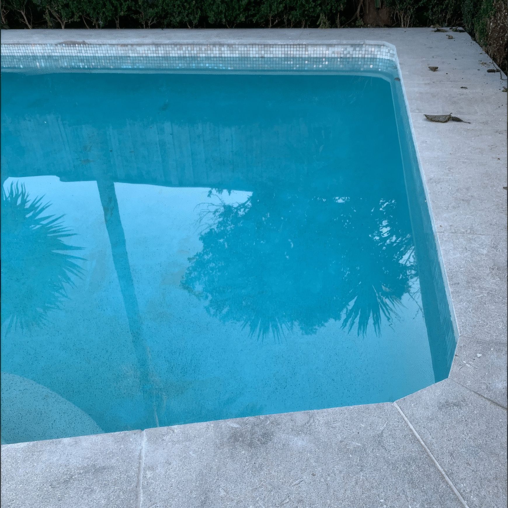 Seagrass | Marble