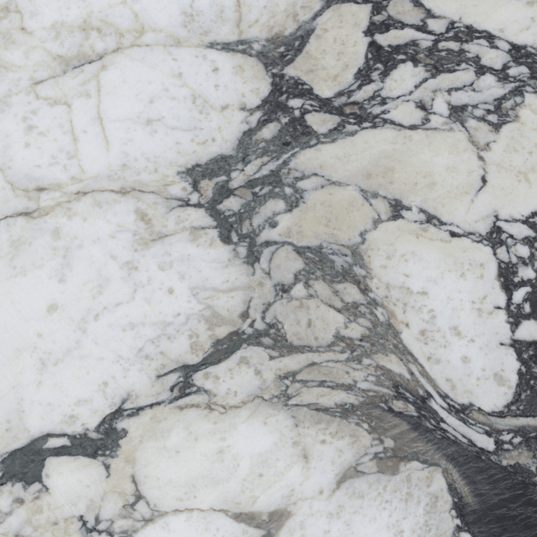 Calacatta Viola Marble