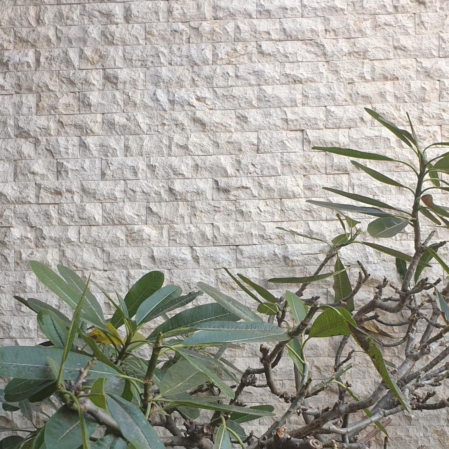 Classic Linen Split Face Travertine Wall Cladding