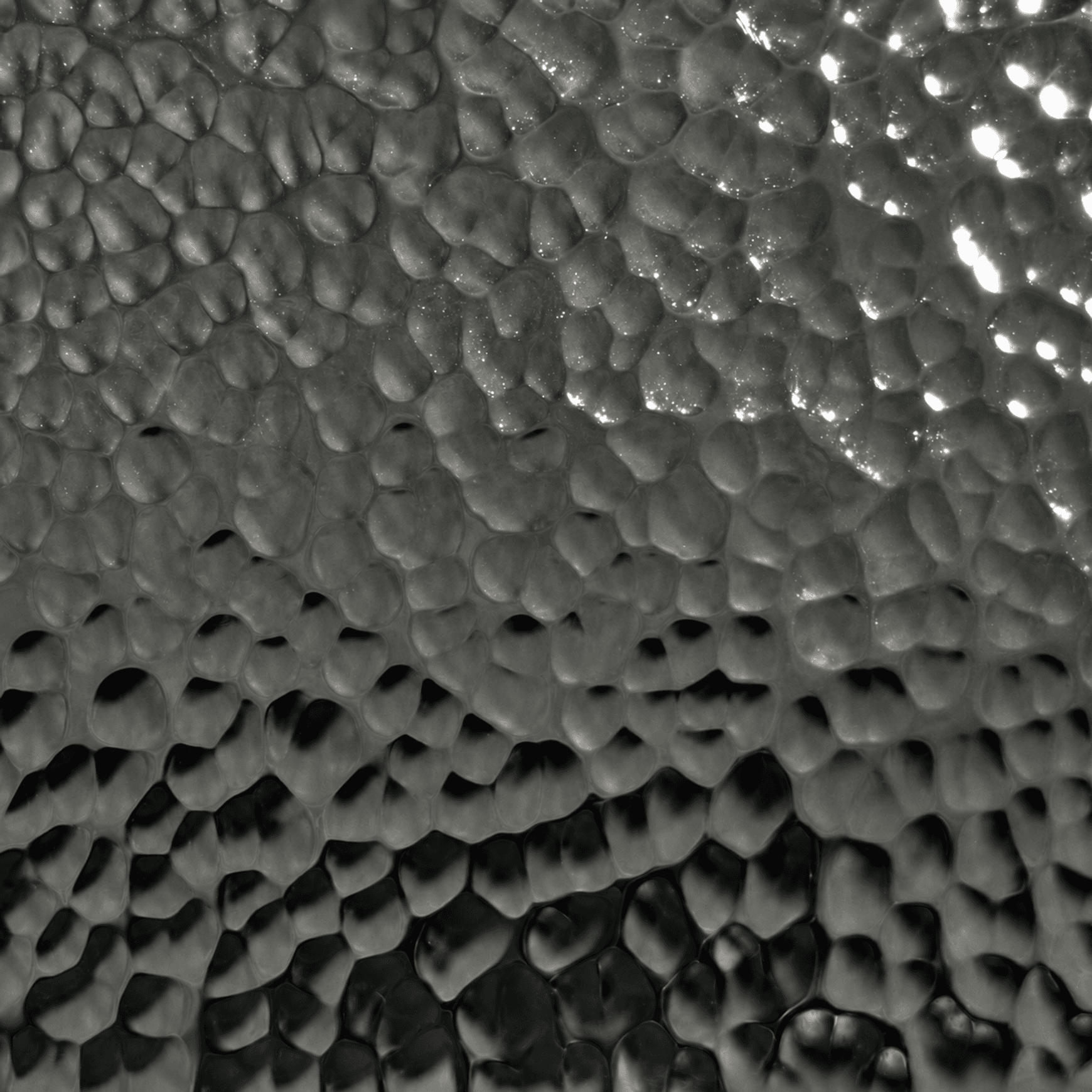 Embossed Stainless Steel | Wall Finishes