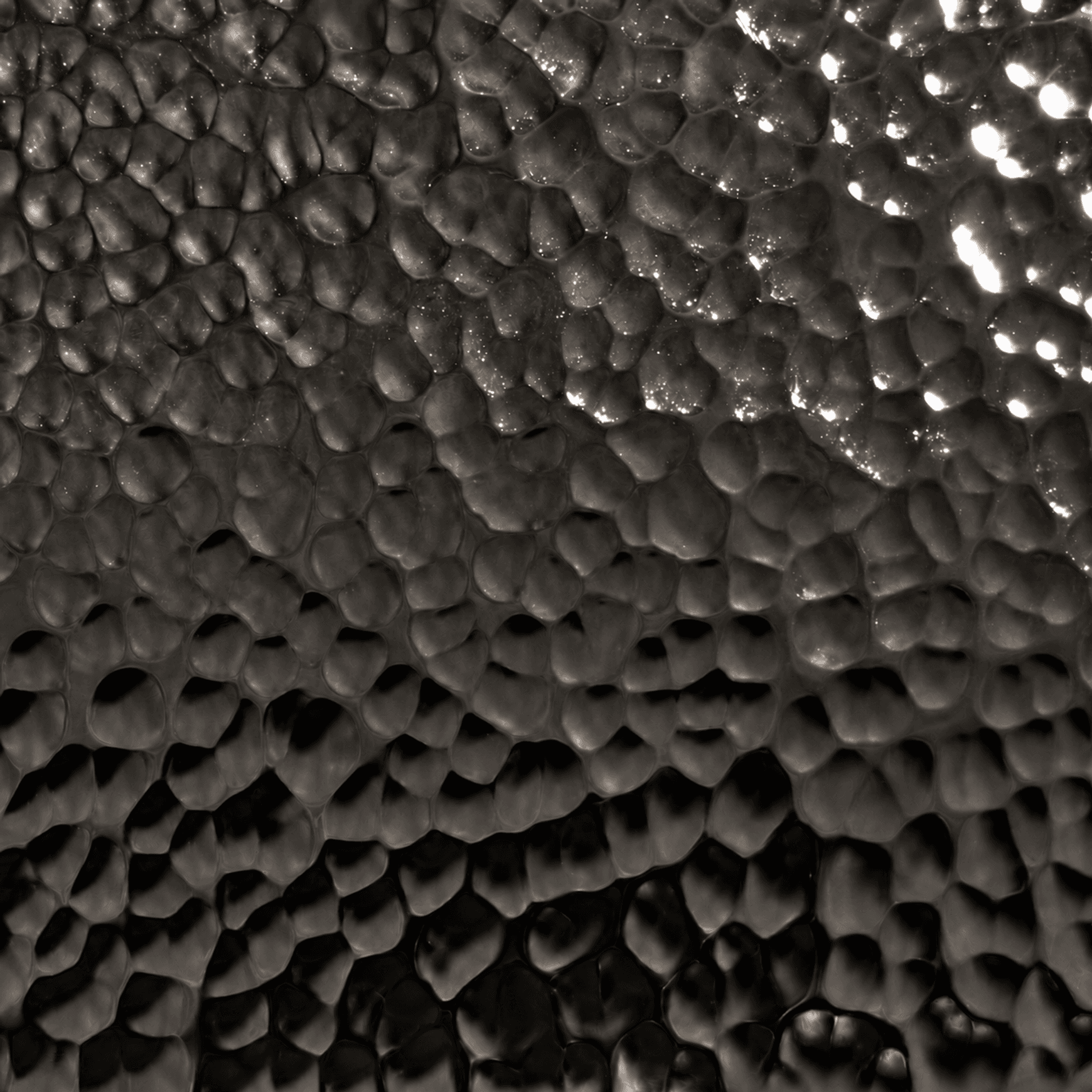 Embossed Stainless Steel | Wall Finishes