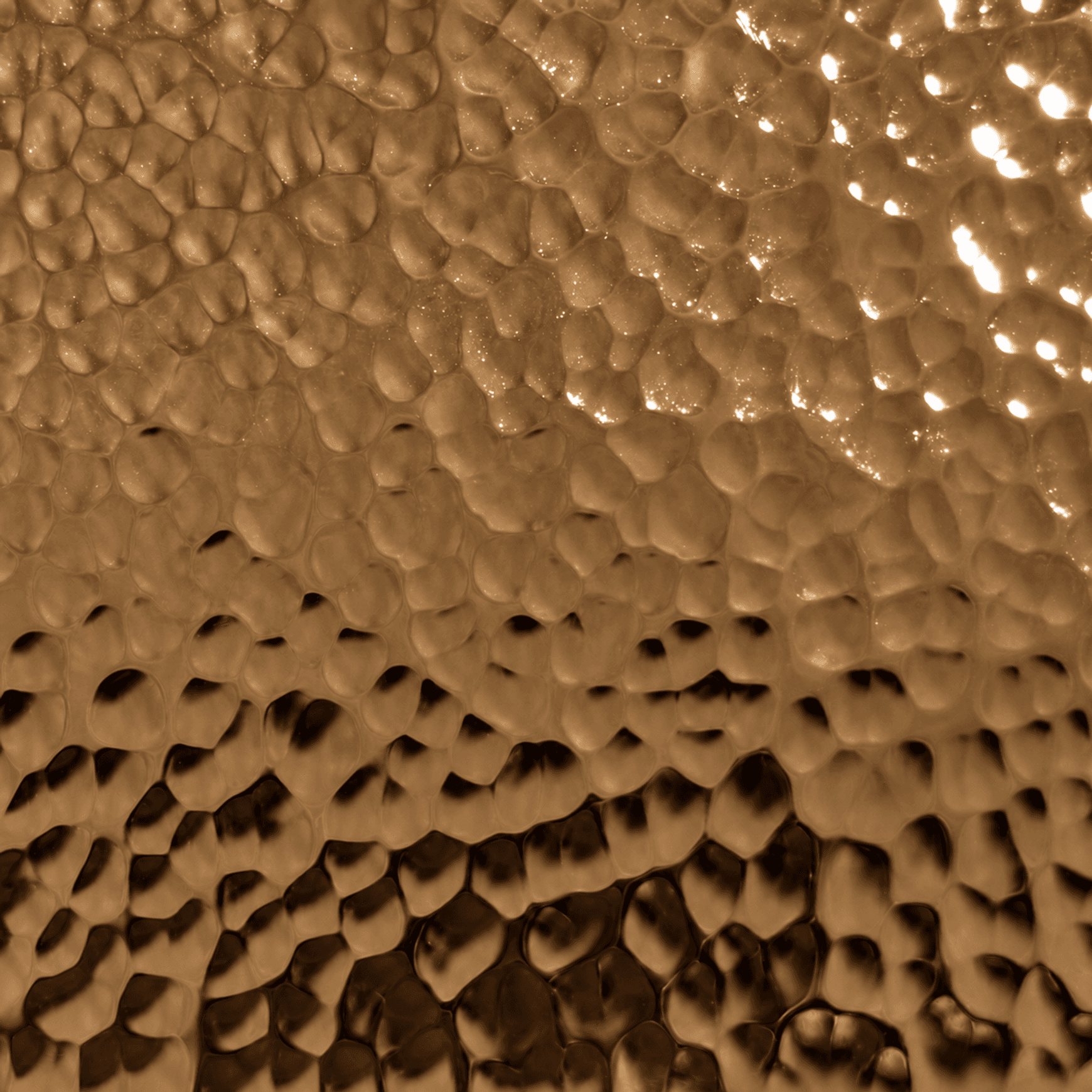 Embossed Stainless Steel | Wall Finishes