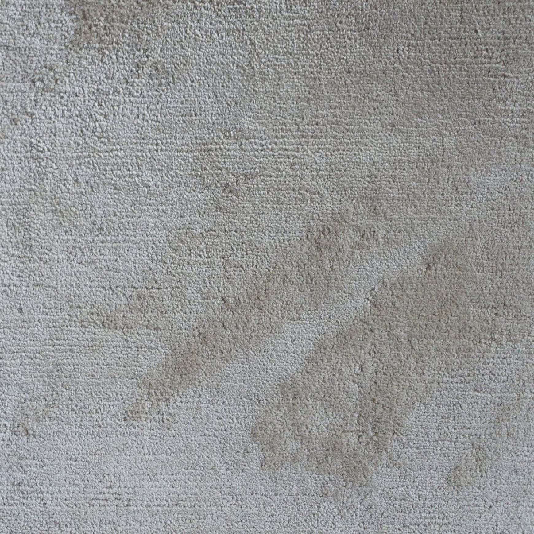 Patina Silk Rug