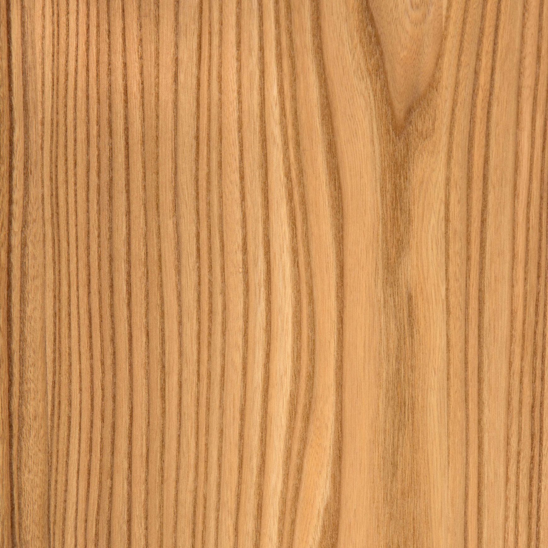 European Elm | Clear | Lignapal Panels