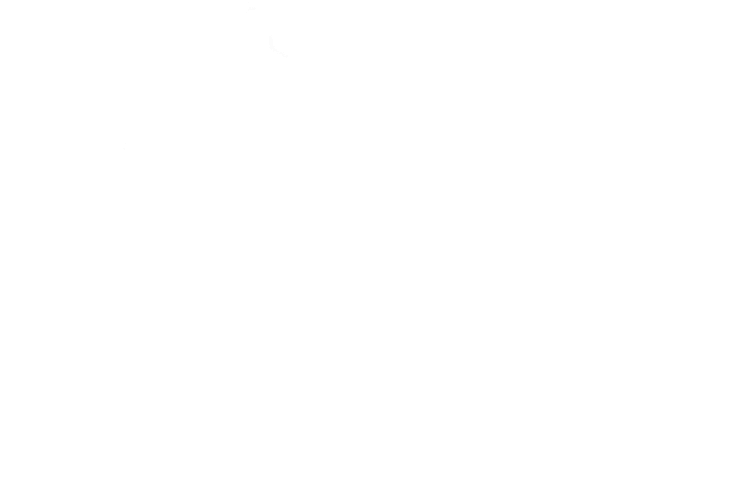 Miami Vena