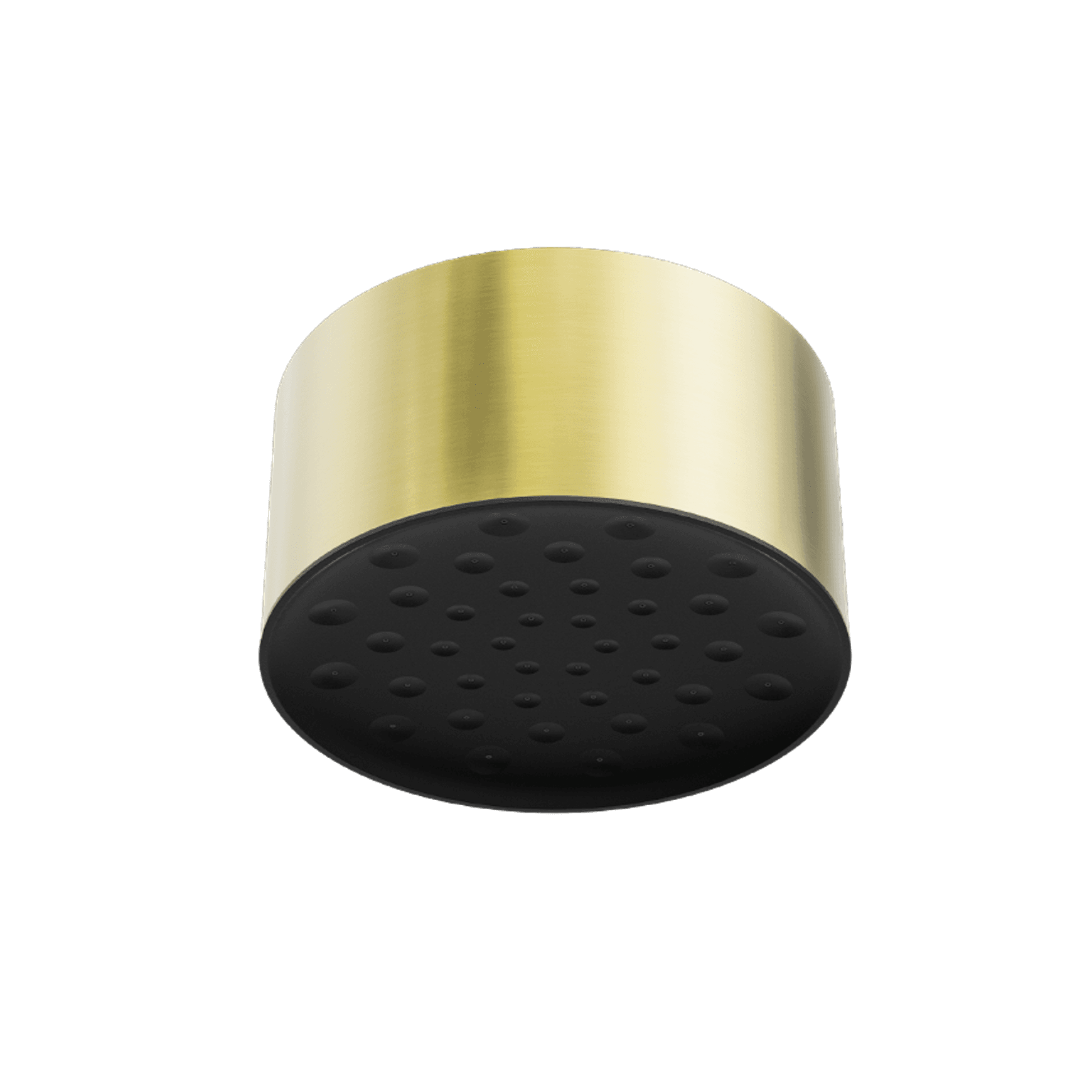 Serenity Ceiling Shower Head Brushed Gold