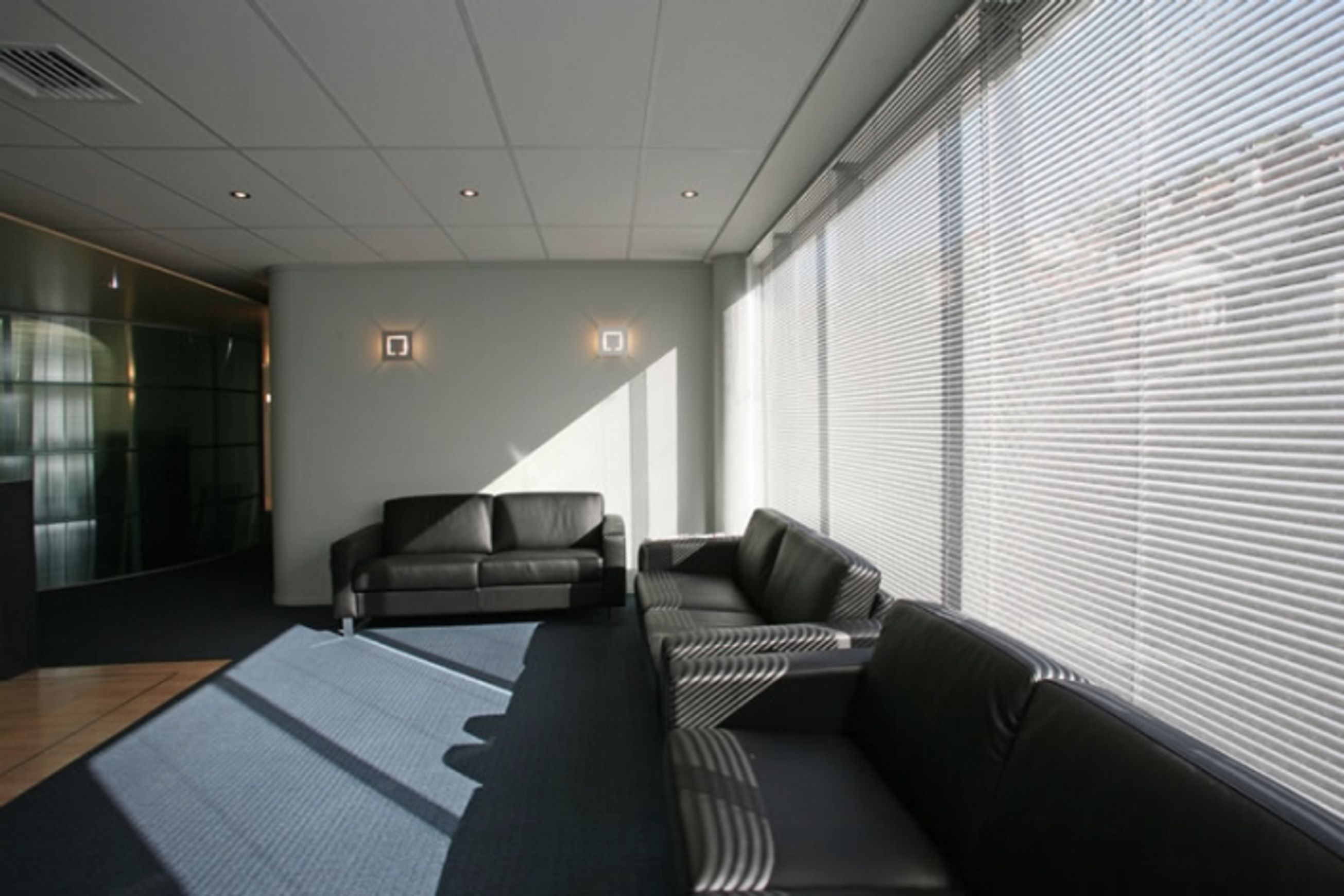 Perforated & Privacy Venetians 25mm Slat