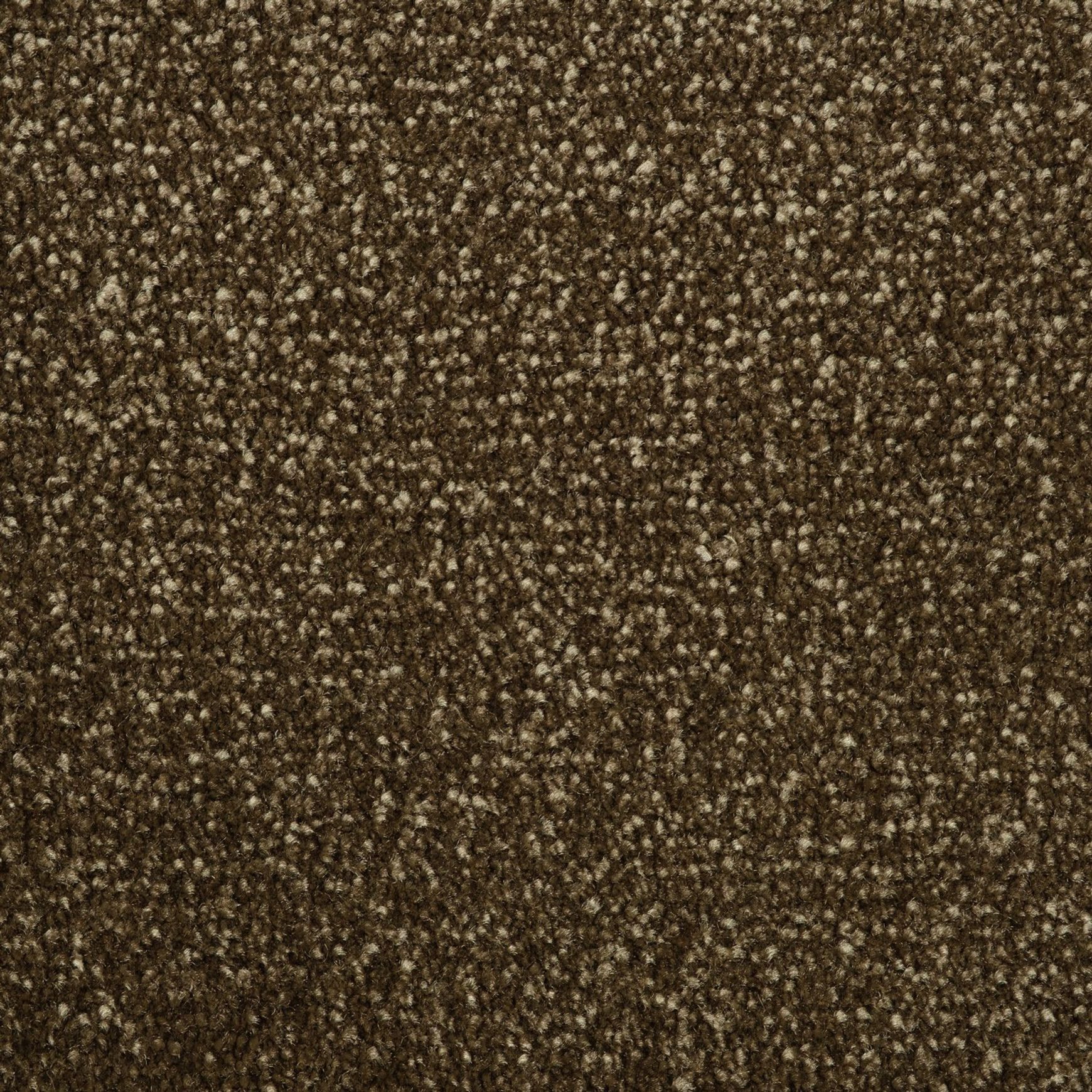 Evoke 2610