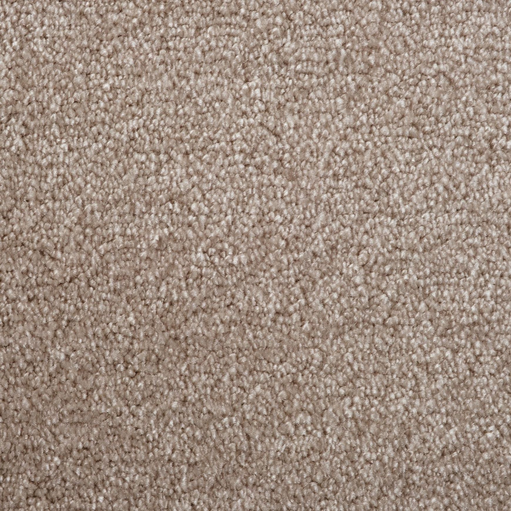 Evoke 2615