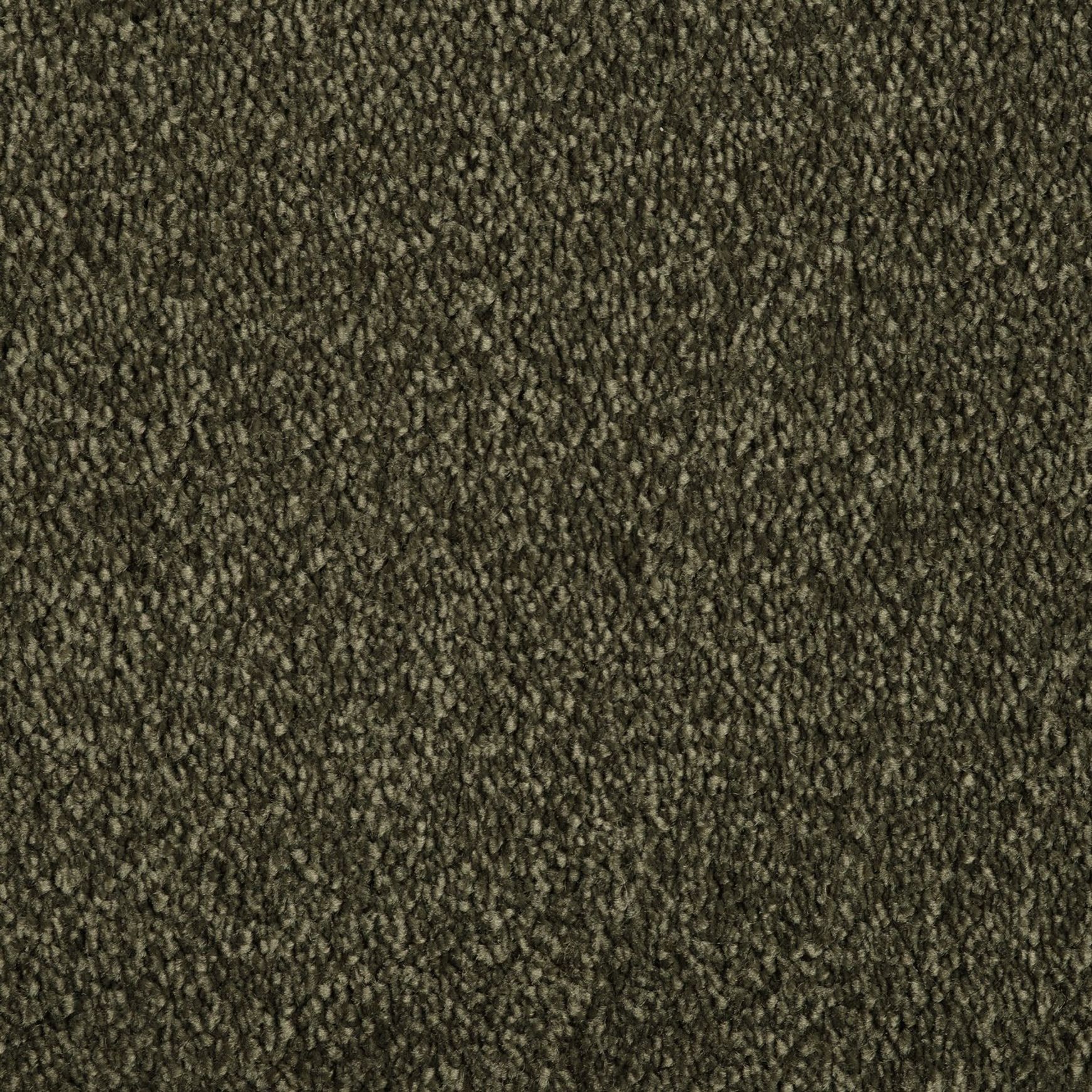 Evoke 2616