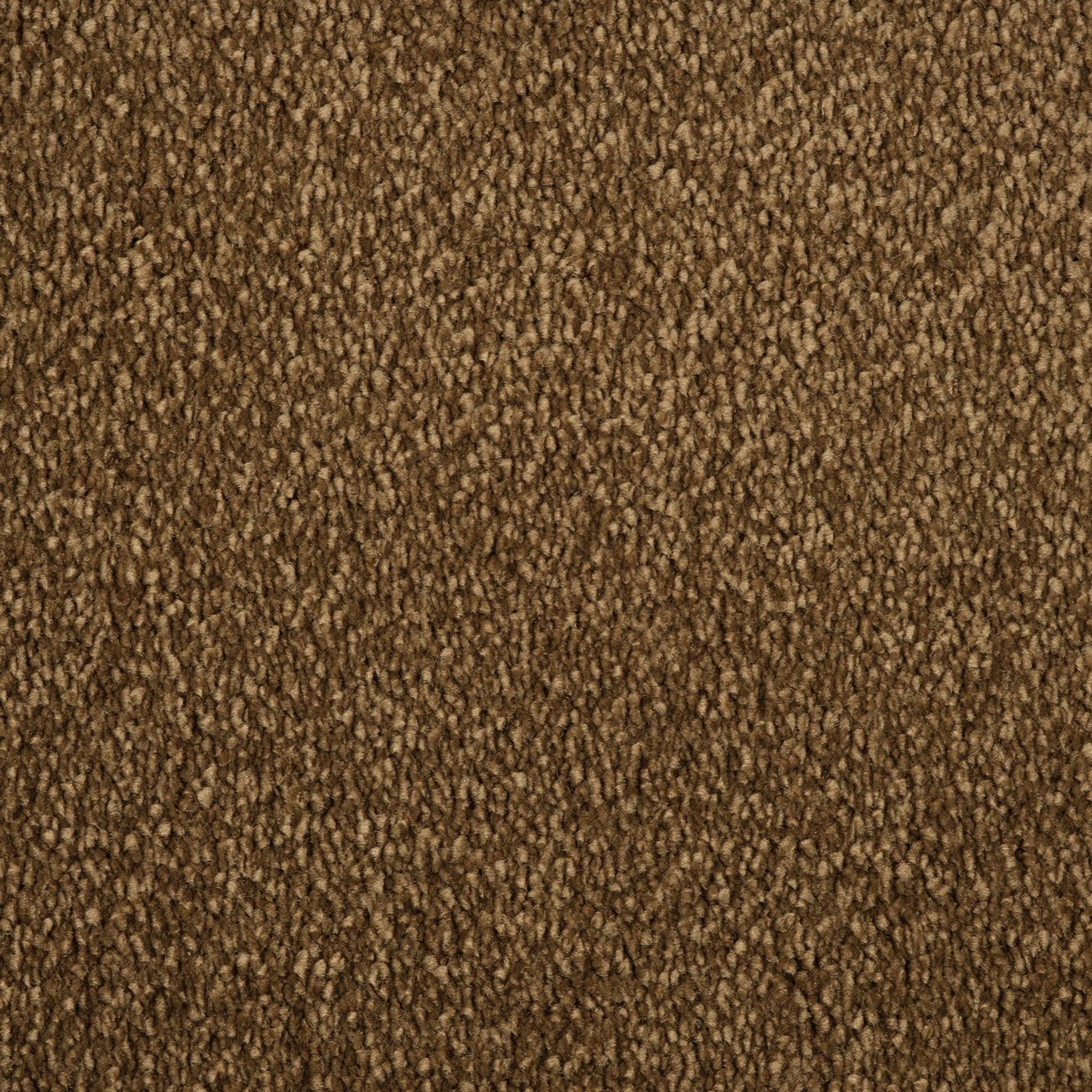 Evoke 2616