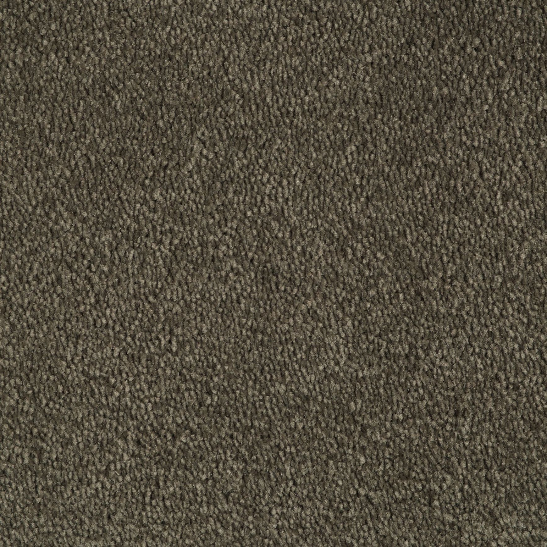 Evoke 2623