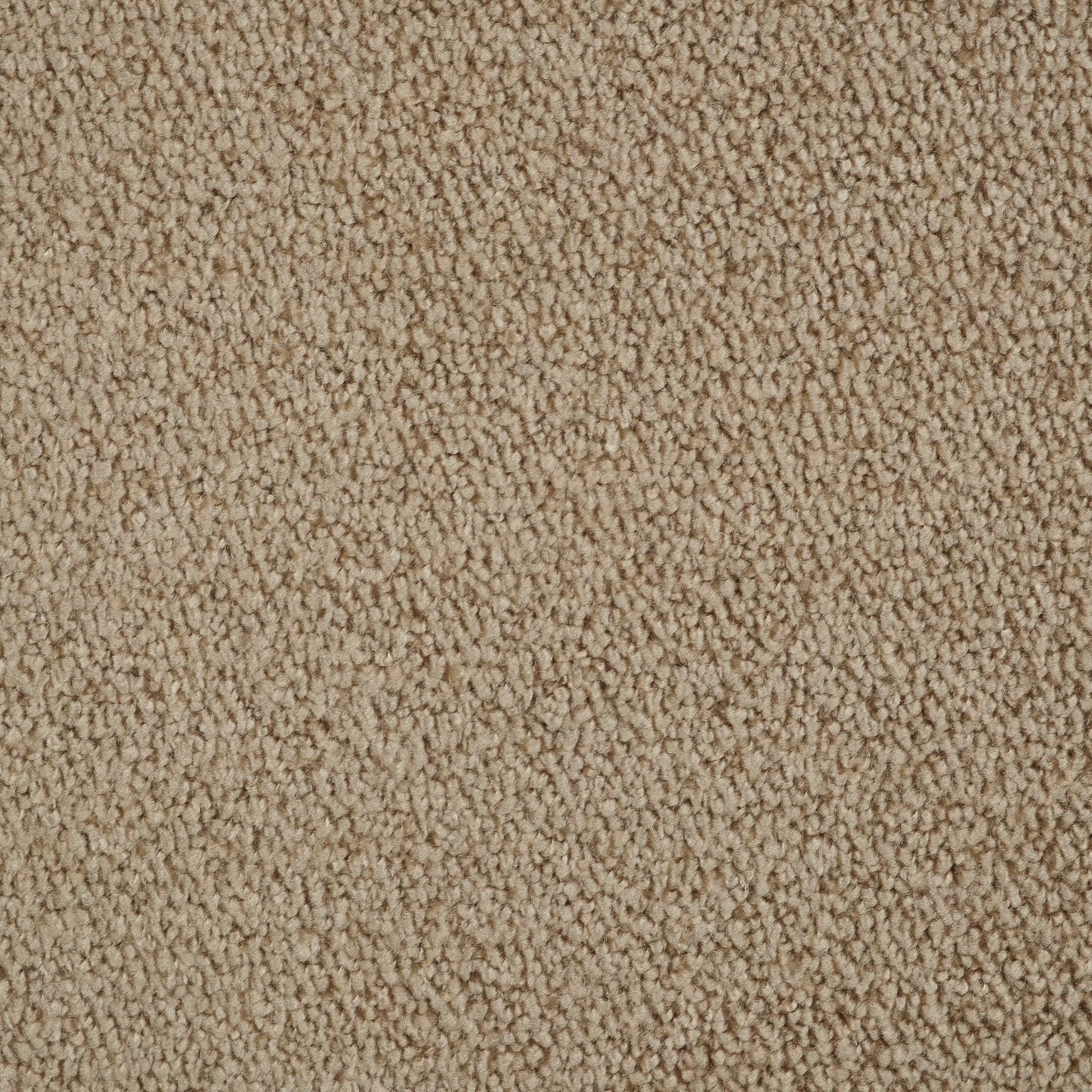 Evoke 2624