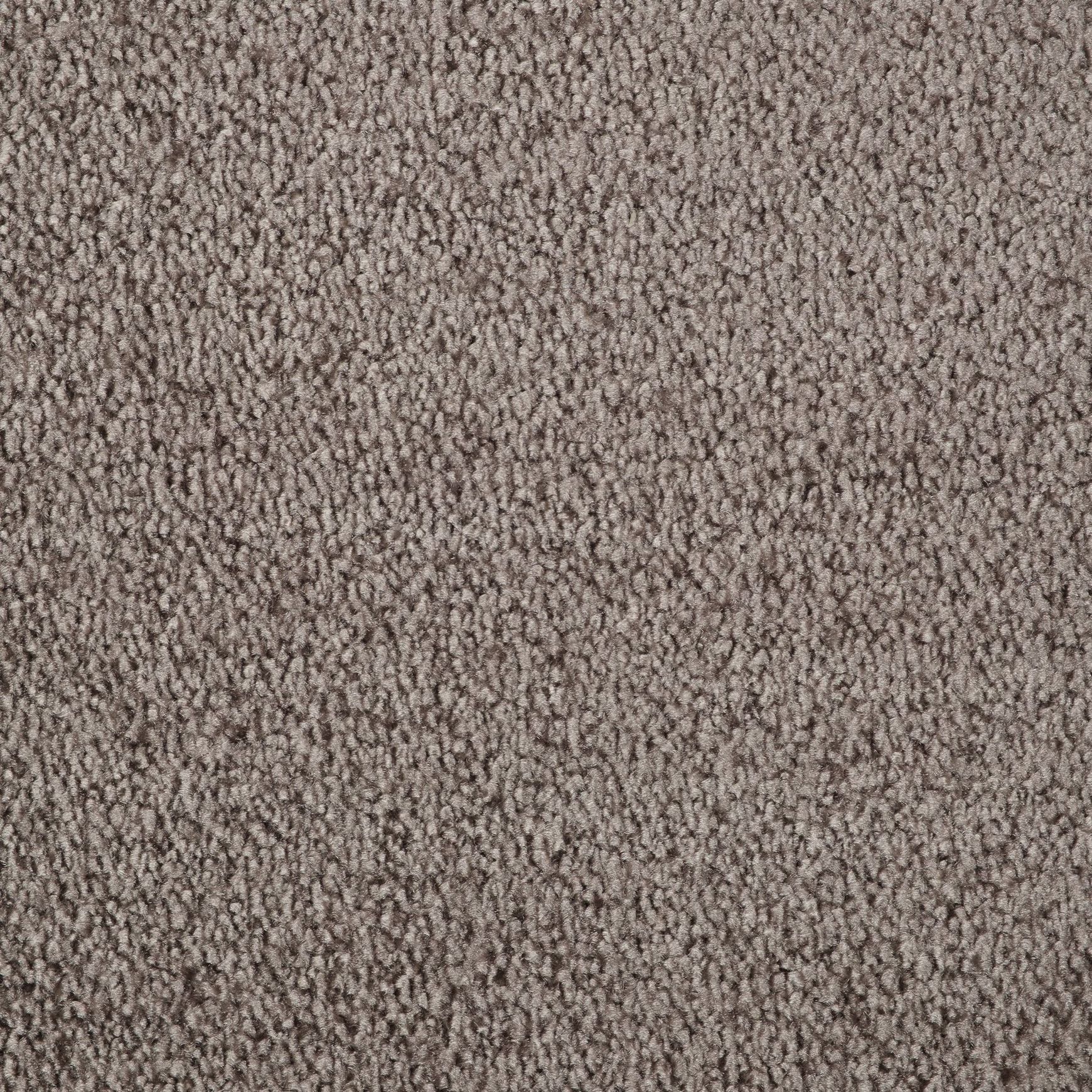 Evoke 2624