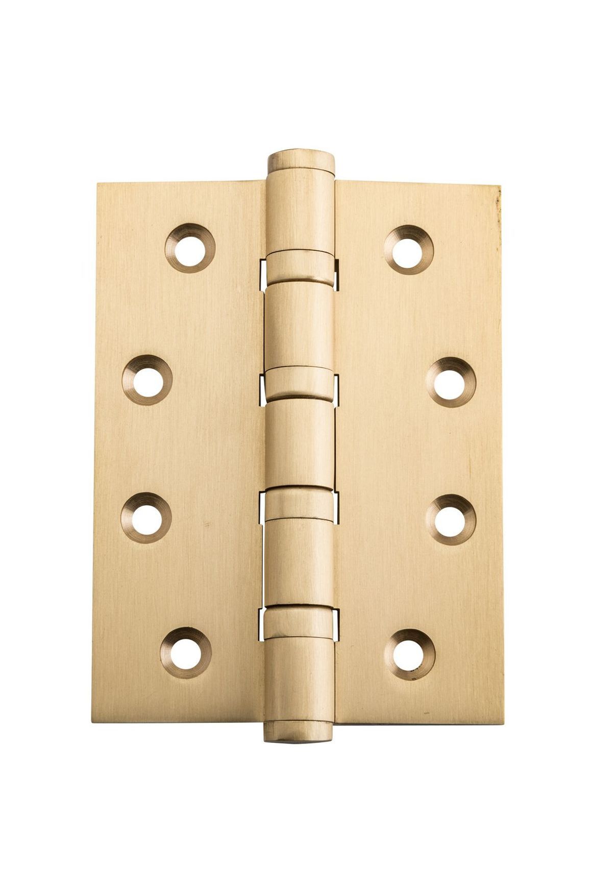 Ball Bearing Hinge - H100xW75mm
