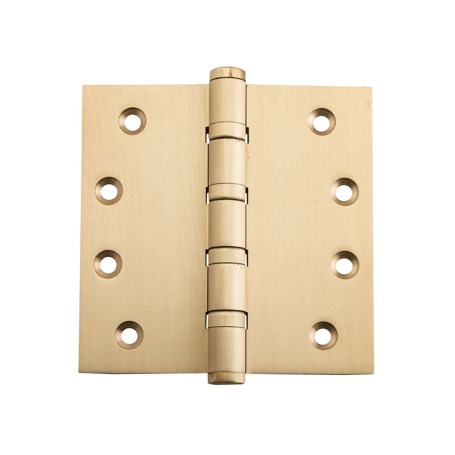 Ball Bearing Hinge - H100xW100mm