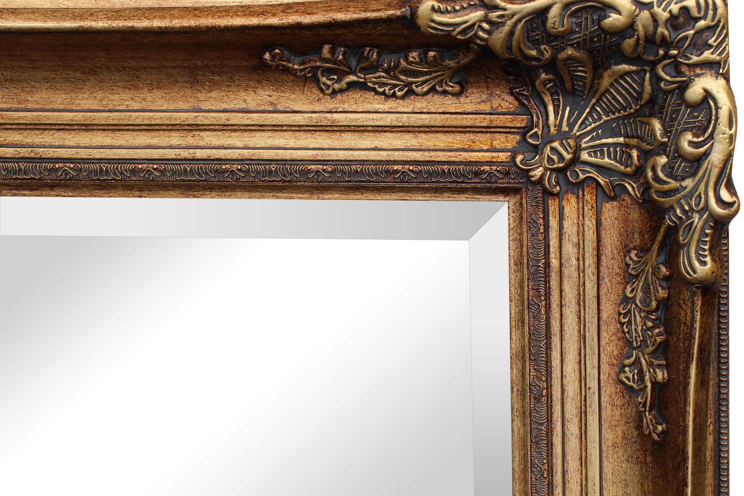 F23 Orléans Mirror